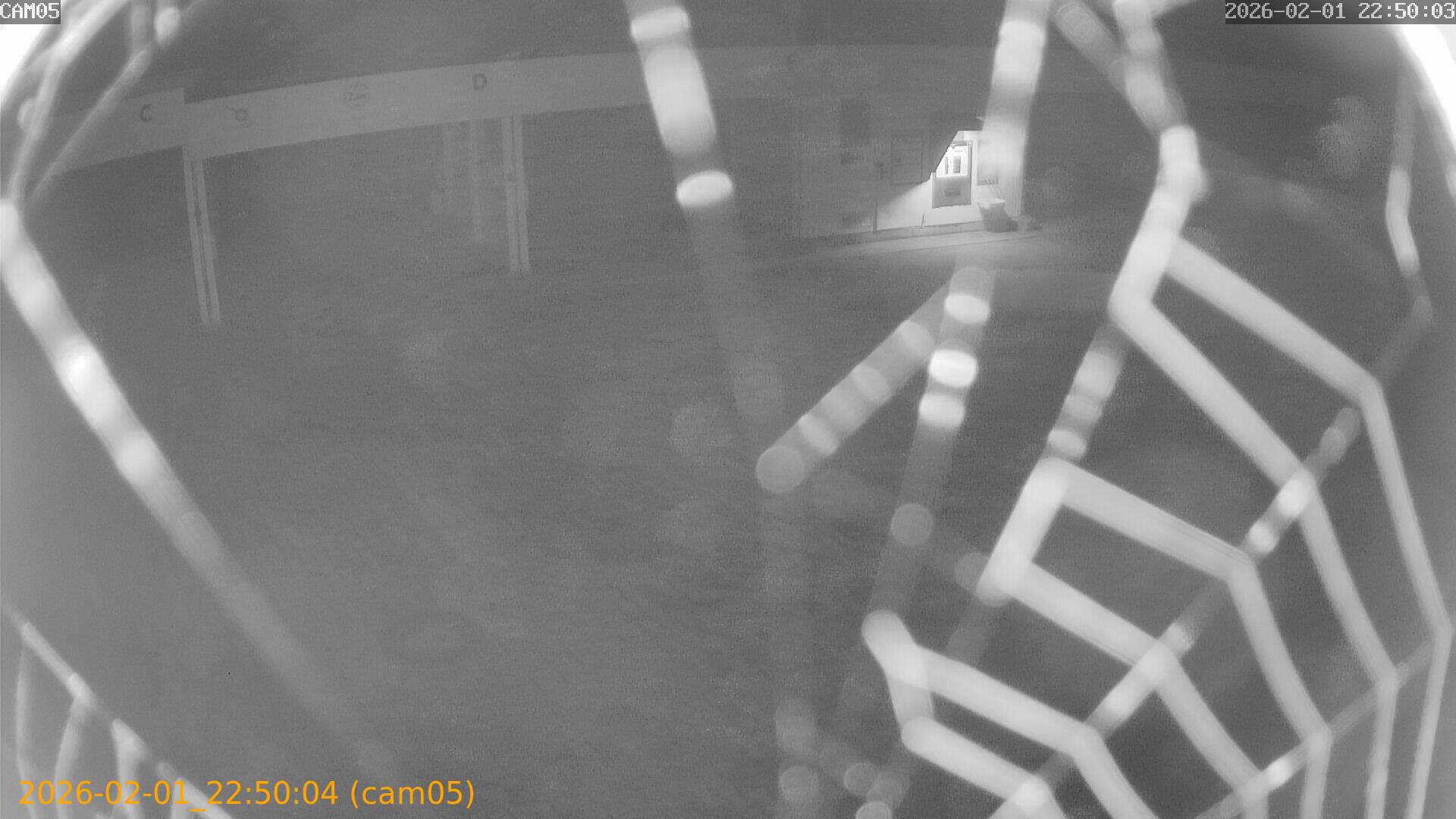 thumbnail_20260201225004