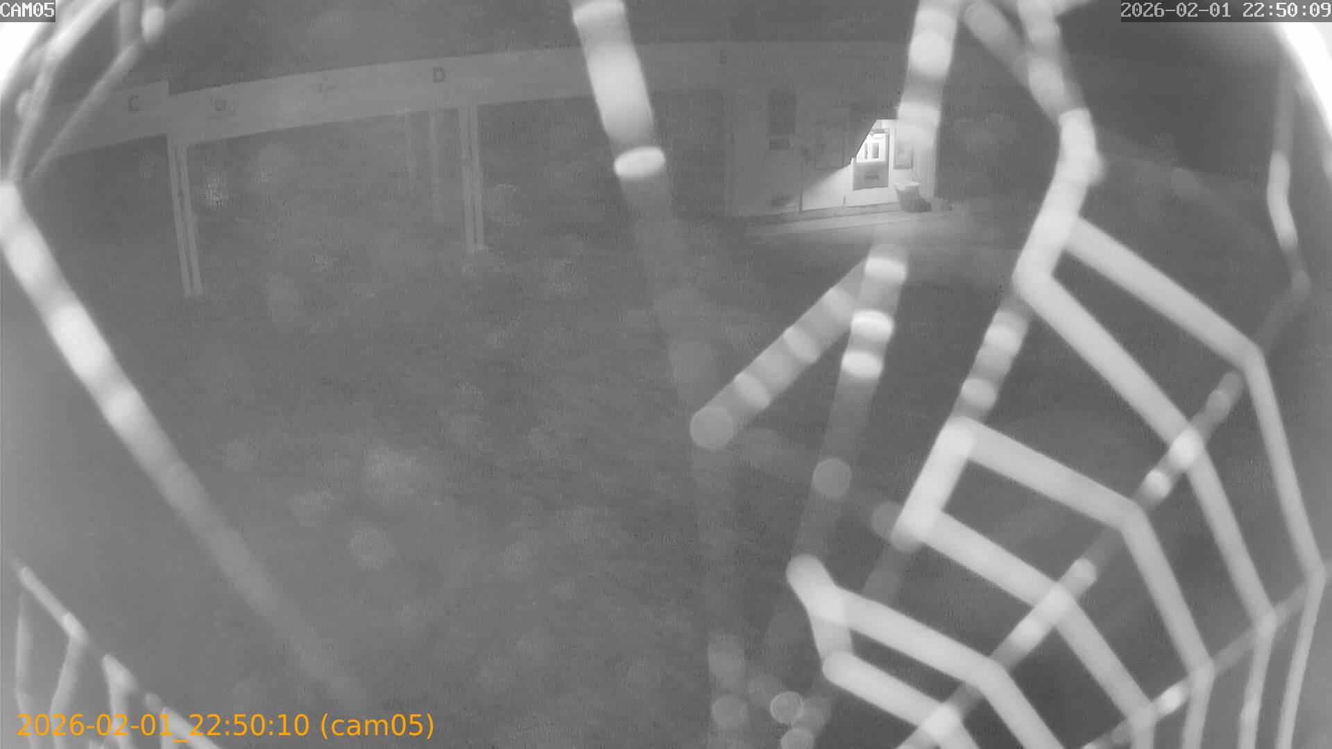 thumbnail_20260201225010