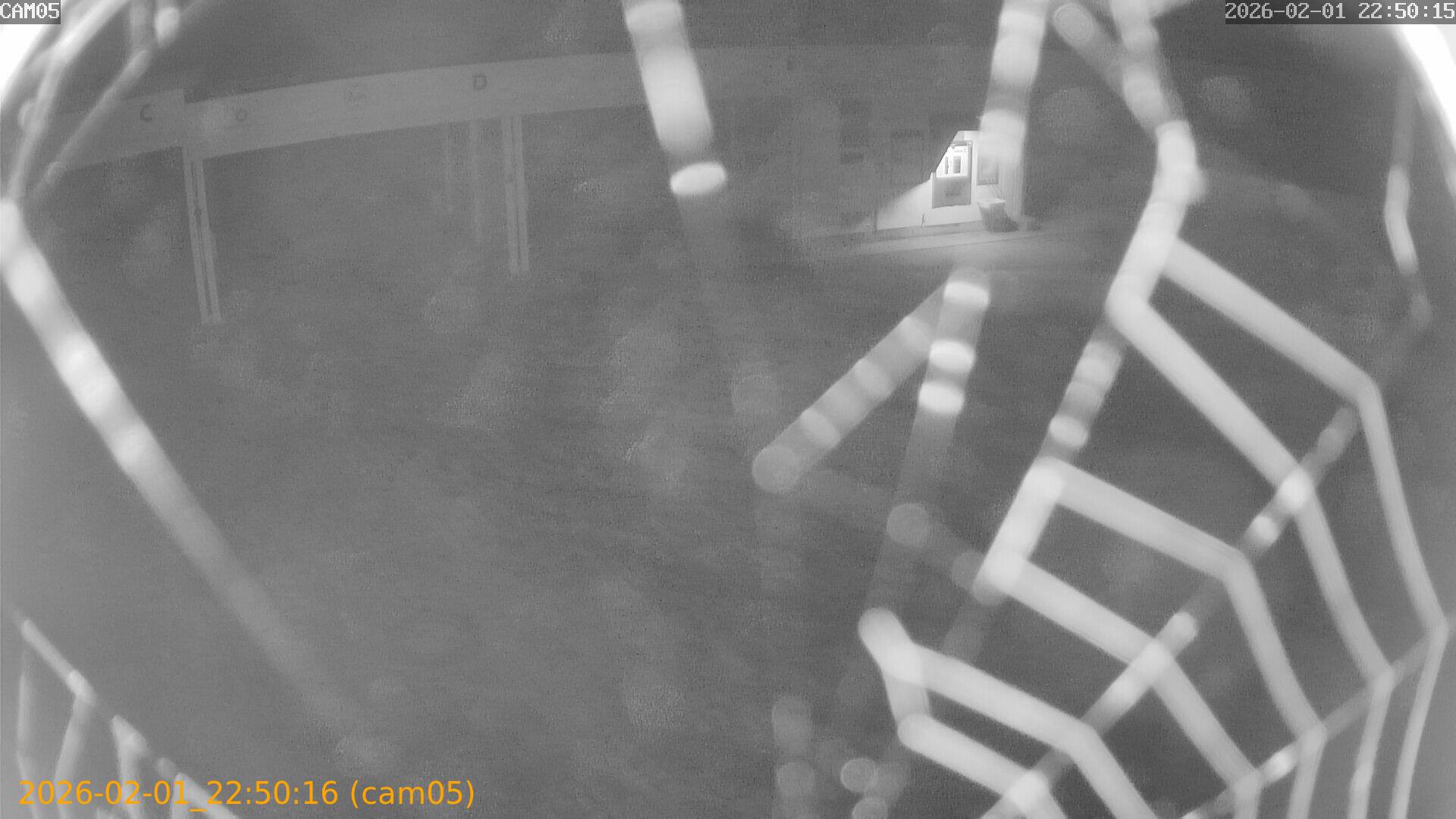 thumbnail_20260201225016