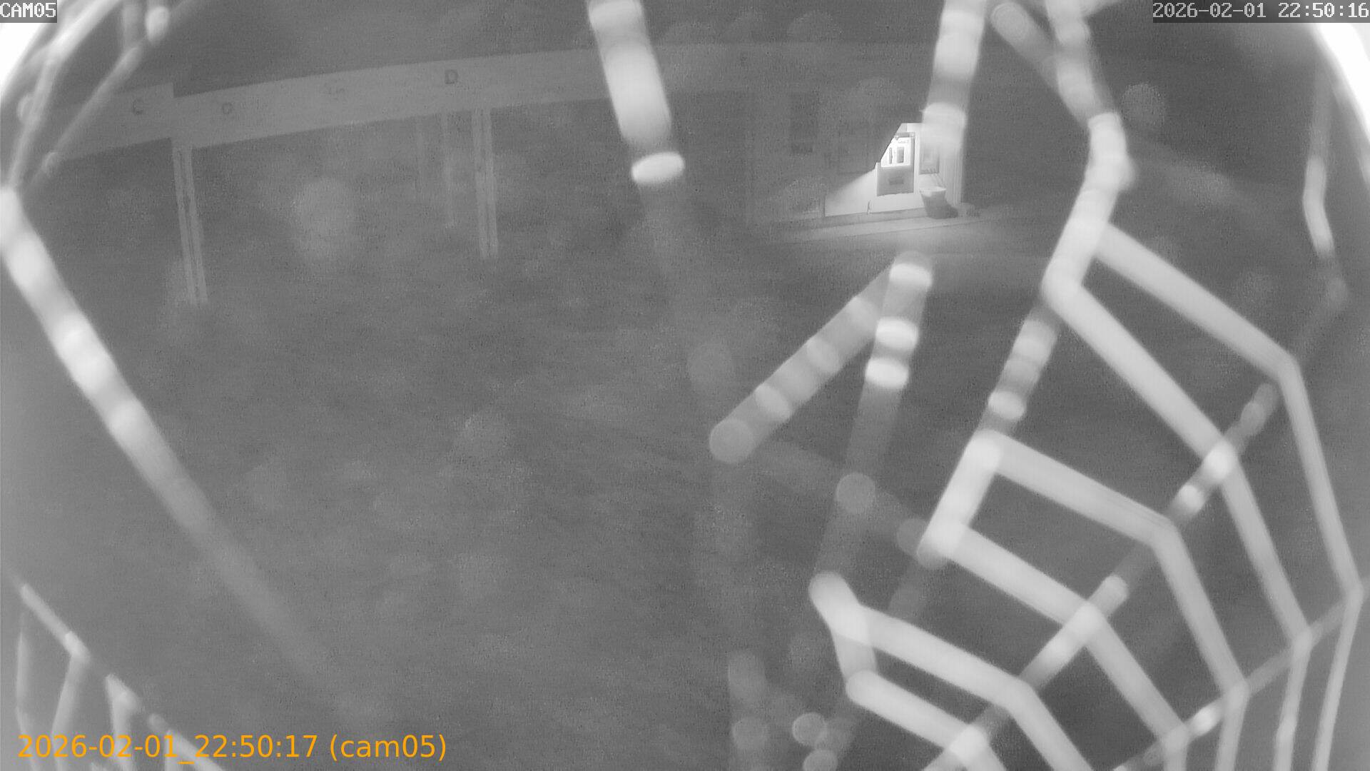 thumbnail_20260201225017