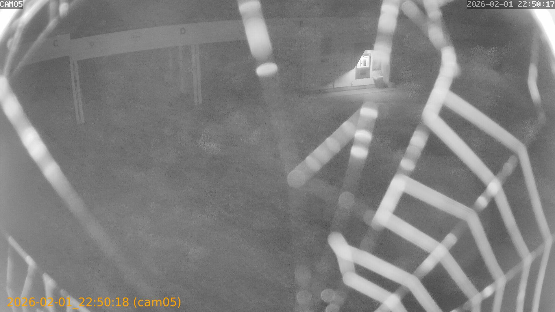 thumbnail_20260201225018