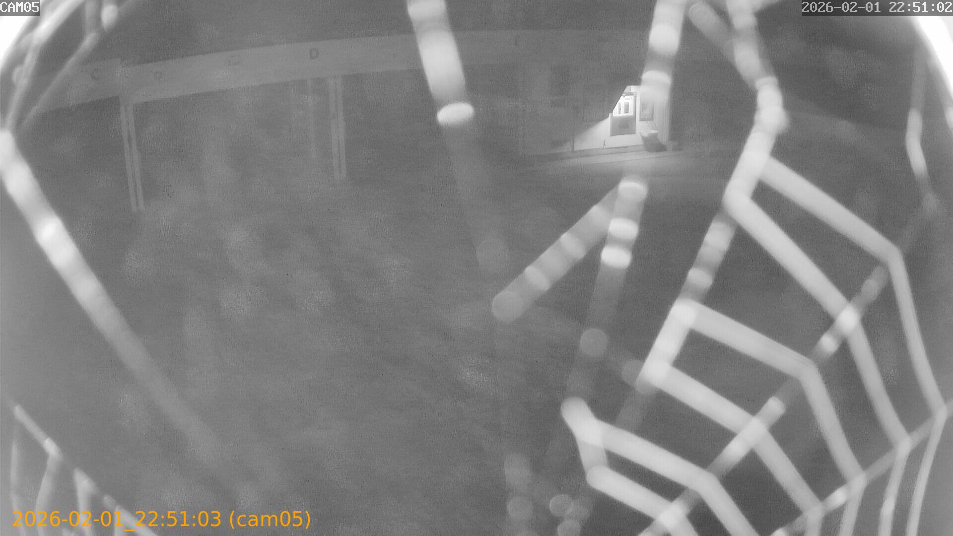 thumbnail_20260201225103