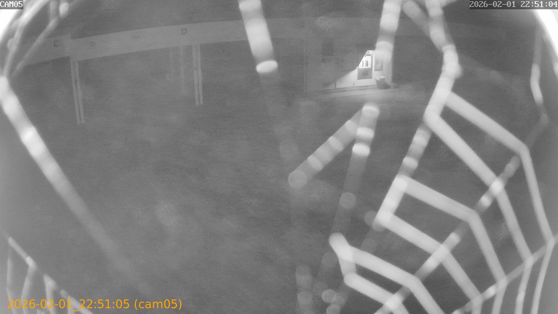 thumbnail_20260201225105