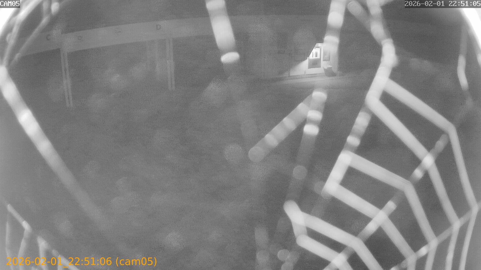 thumbnail_20260201225106