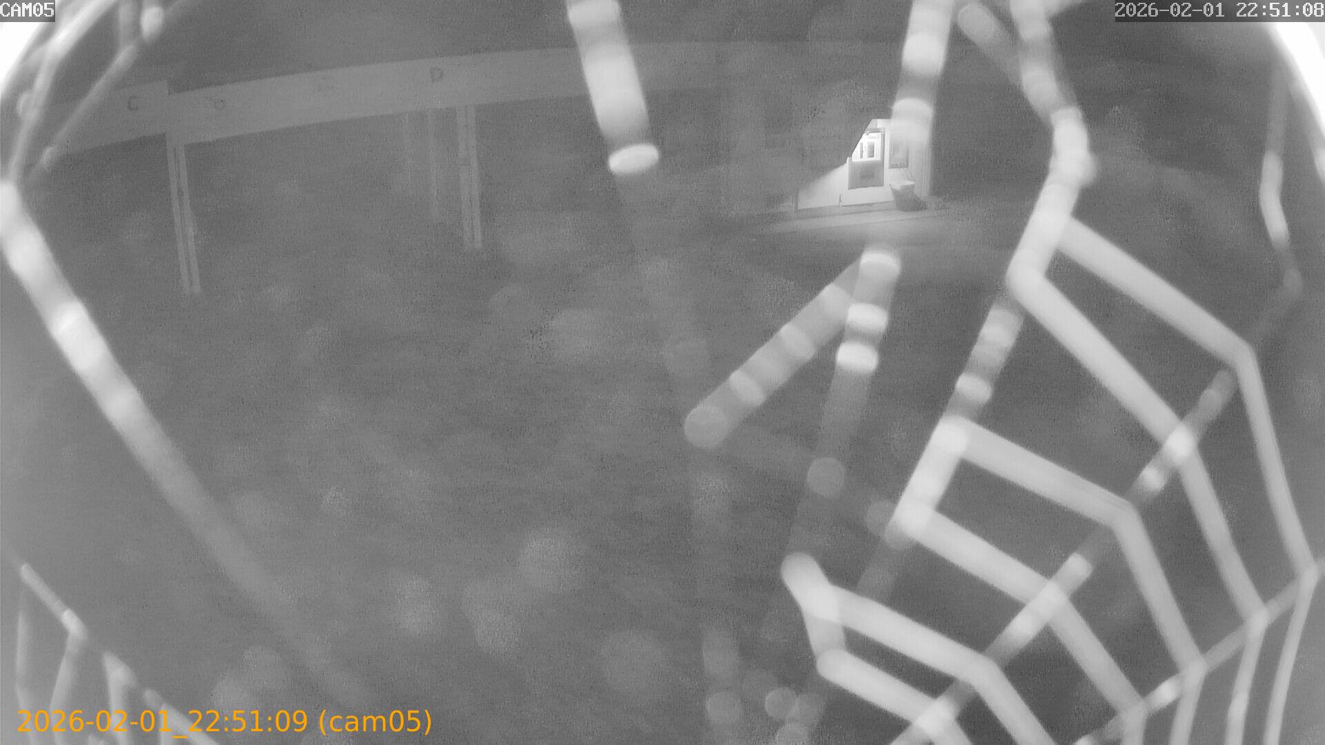 thumbnail_20260201225109