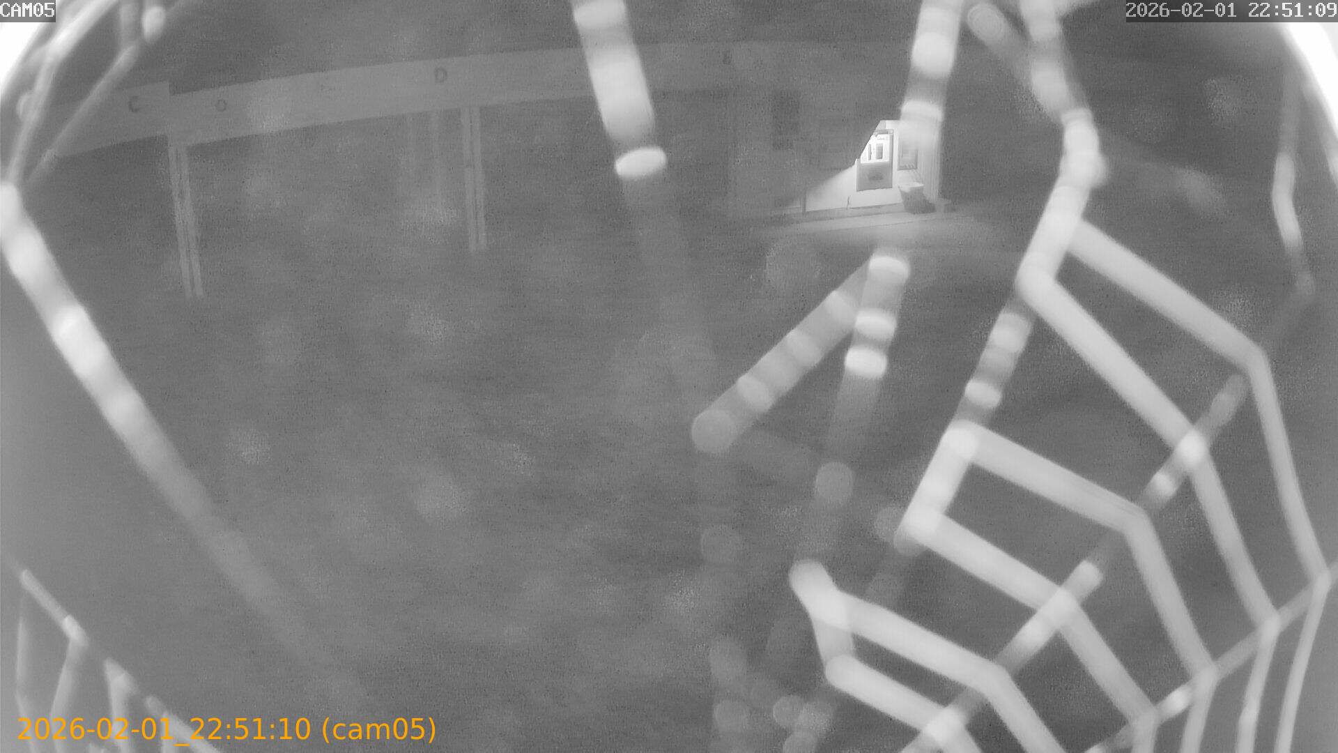 thumbnail_20260201225110