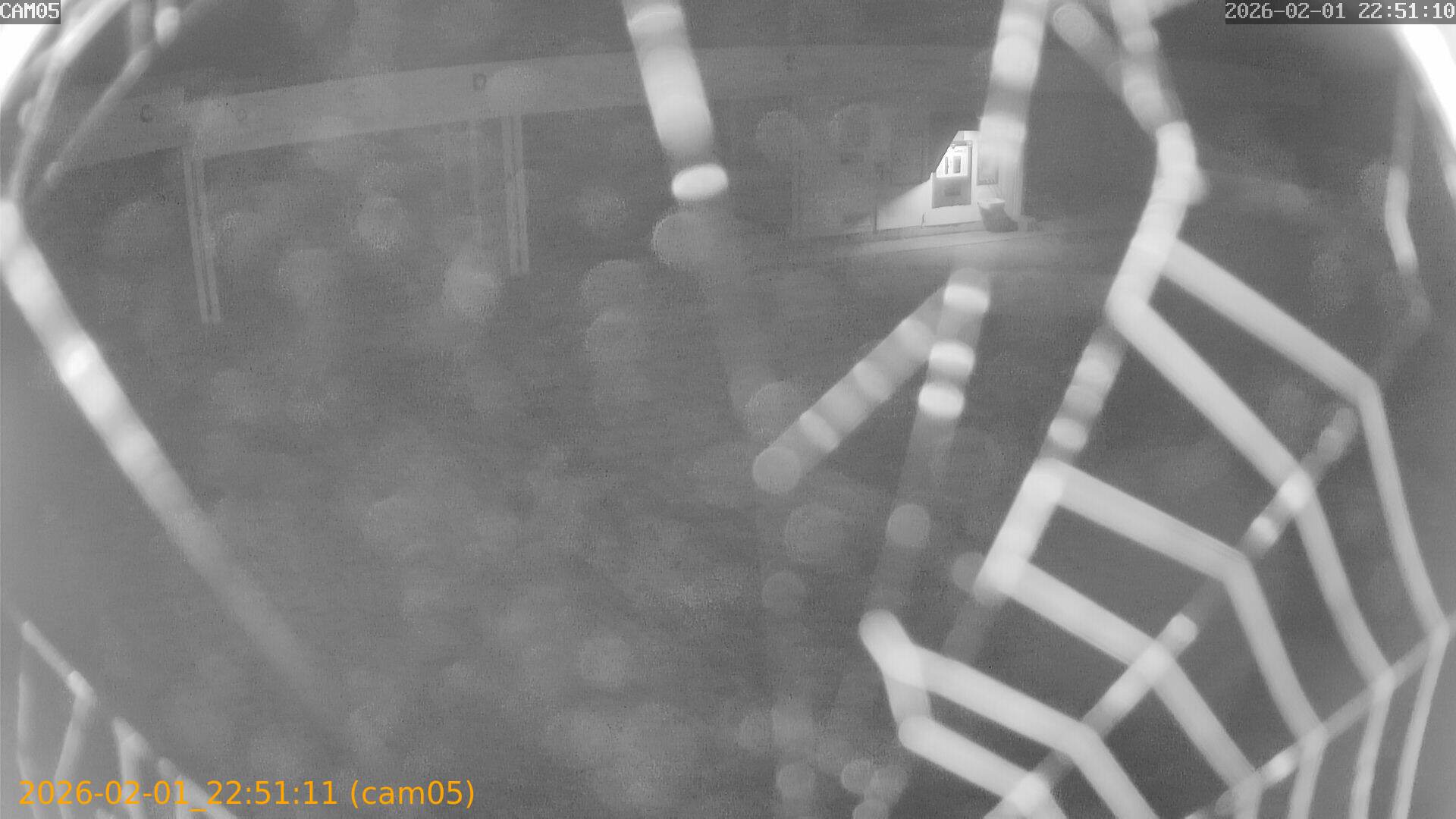 thumbnail_20260201225111