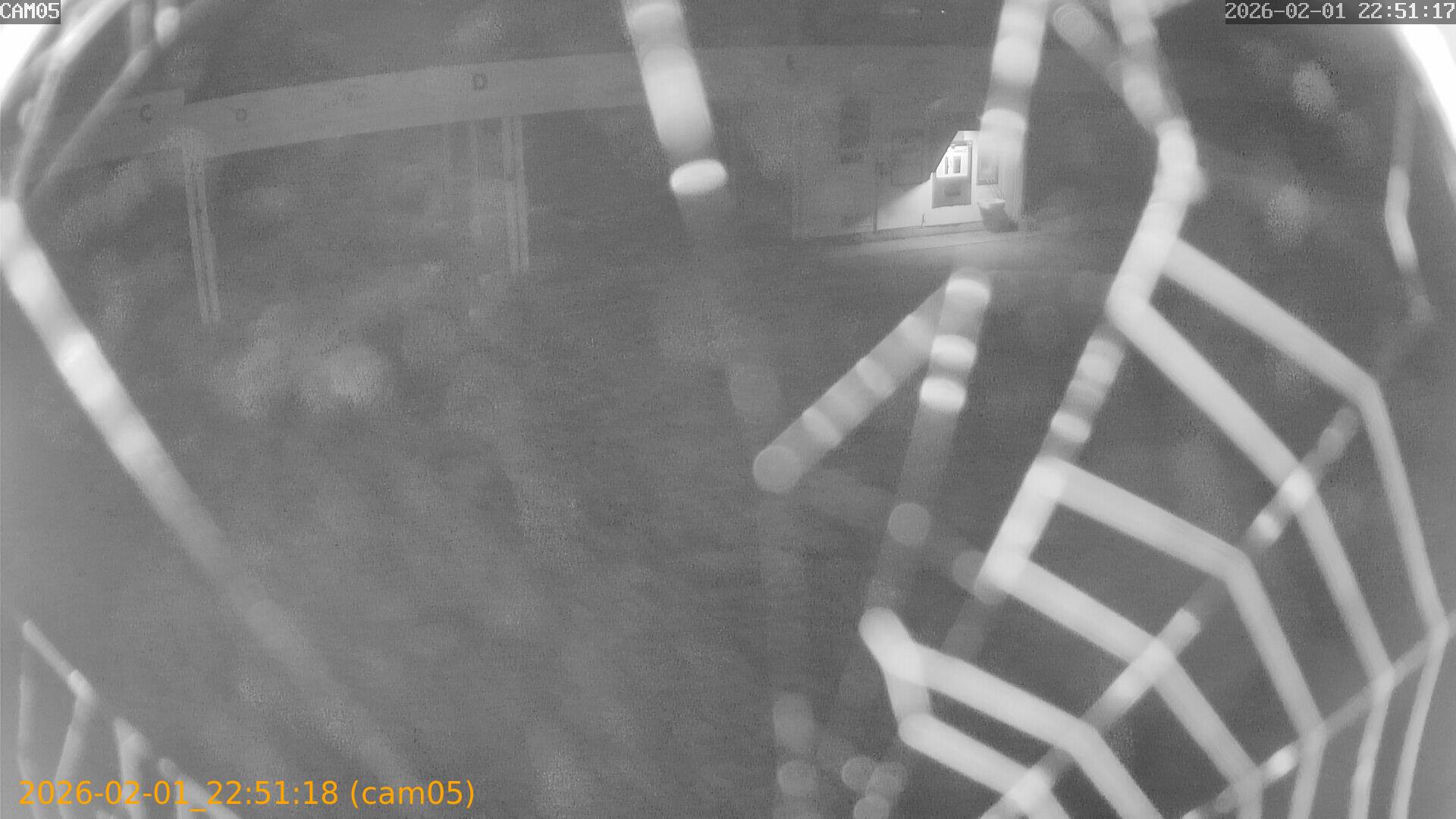 thumbnail_20260201225118