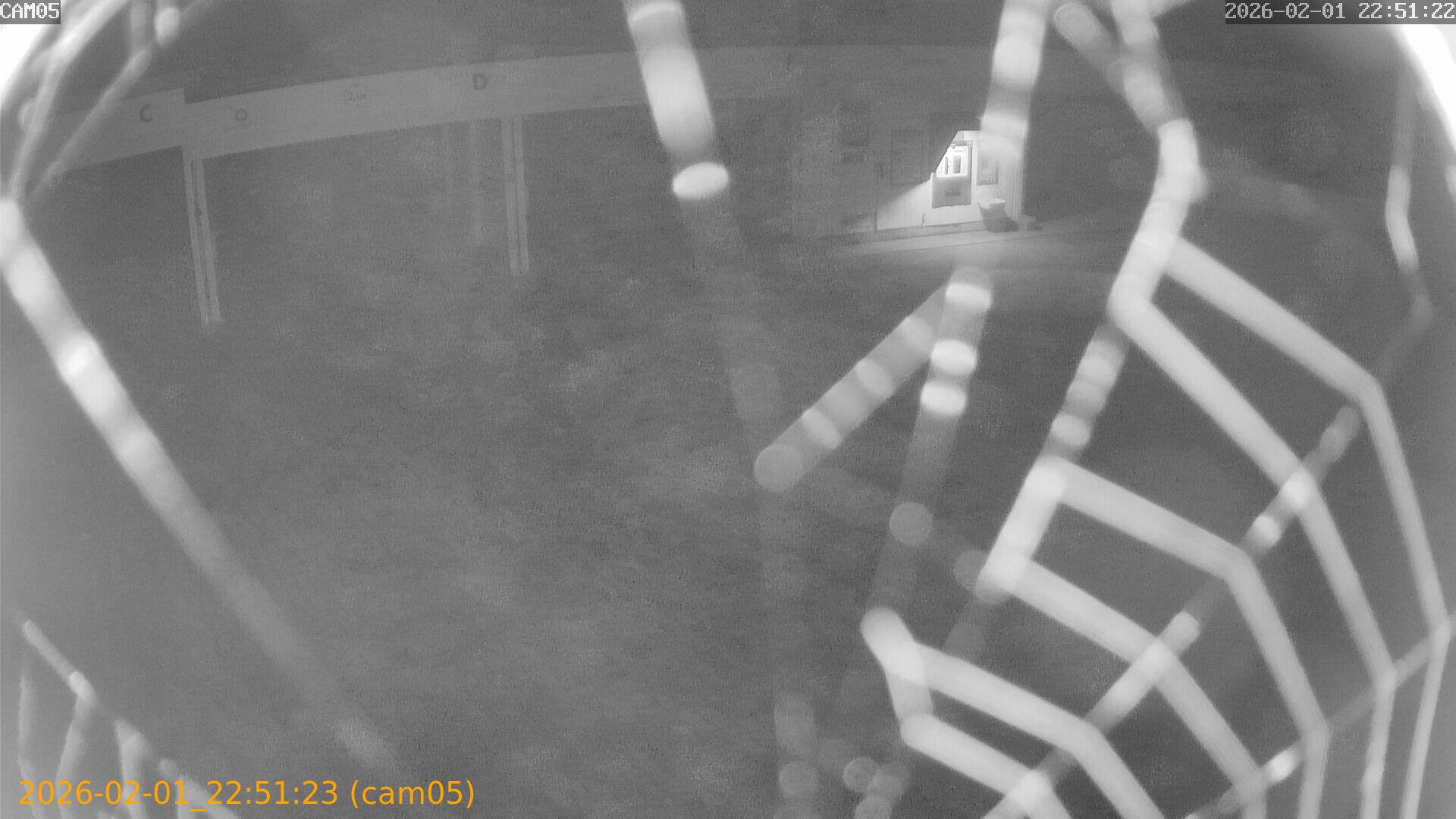 thumbnail_20260201225123