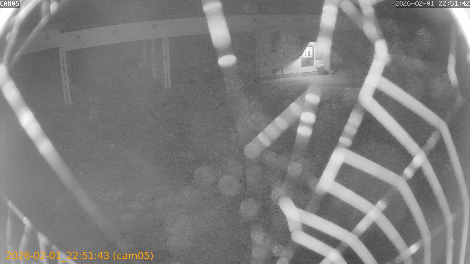 thumbnail_20260201225143