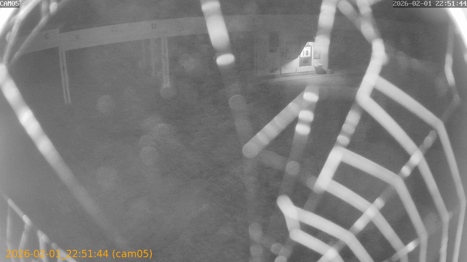 thumbnail_20260201225144