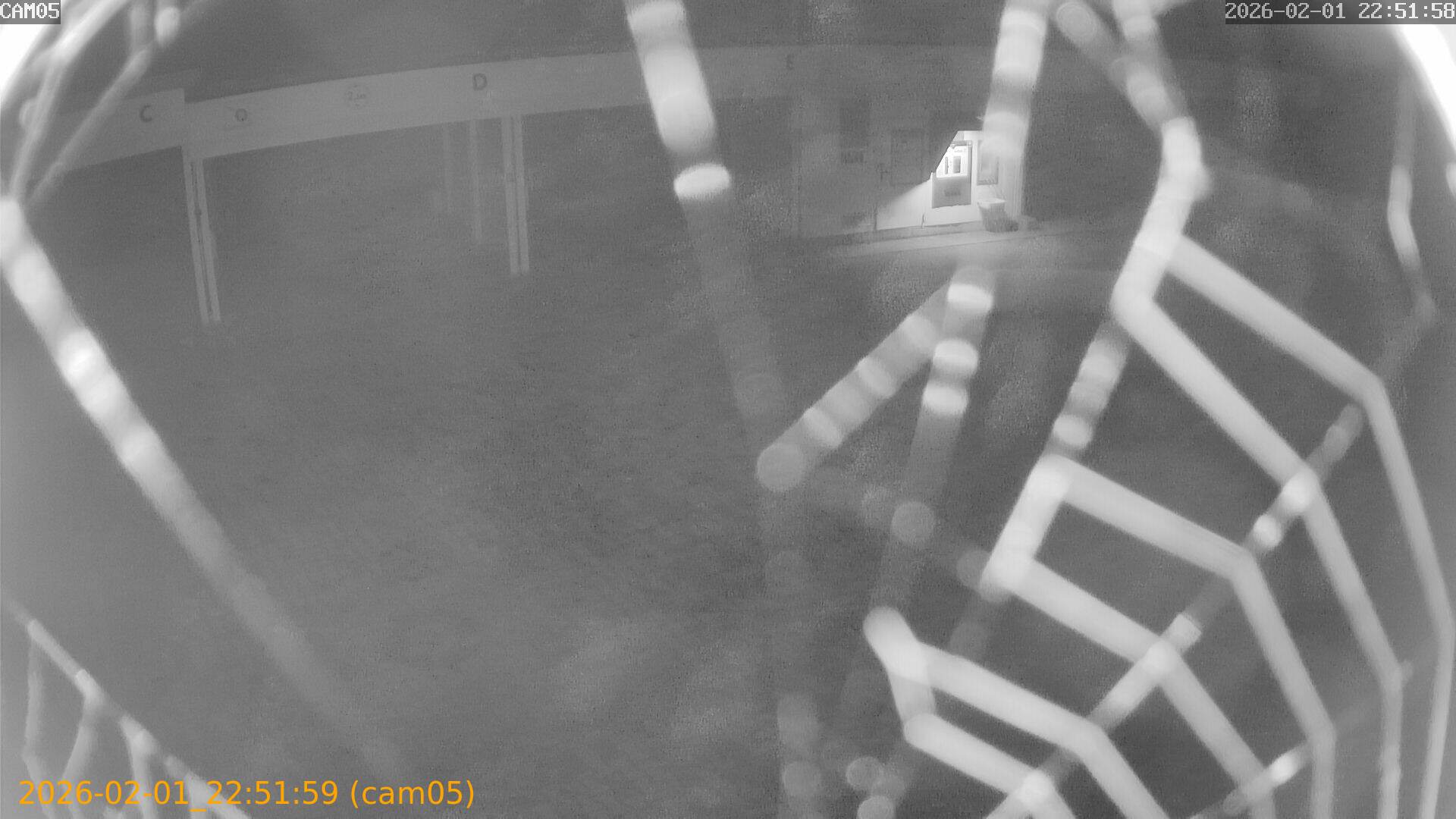 thumbnail_20260201225159