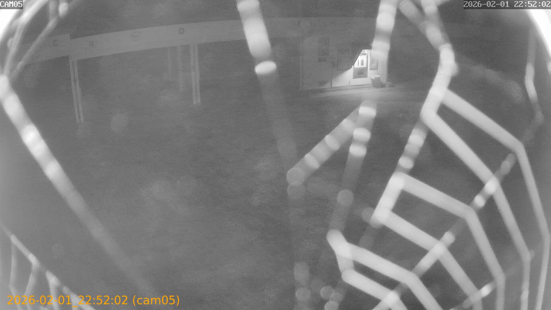 thumbnail_20260201225202