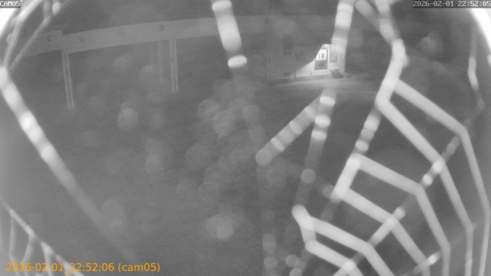 thumbnail_20260201225206