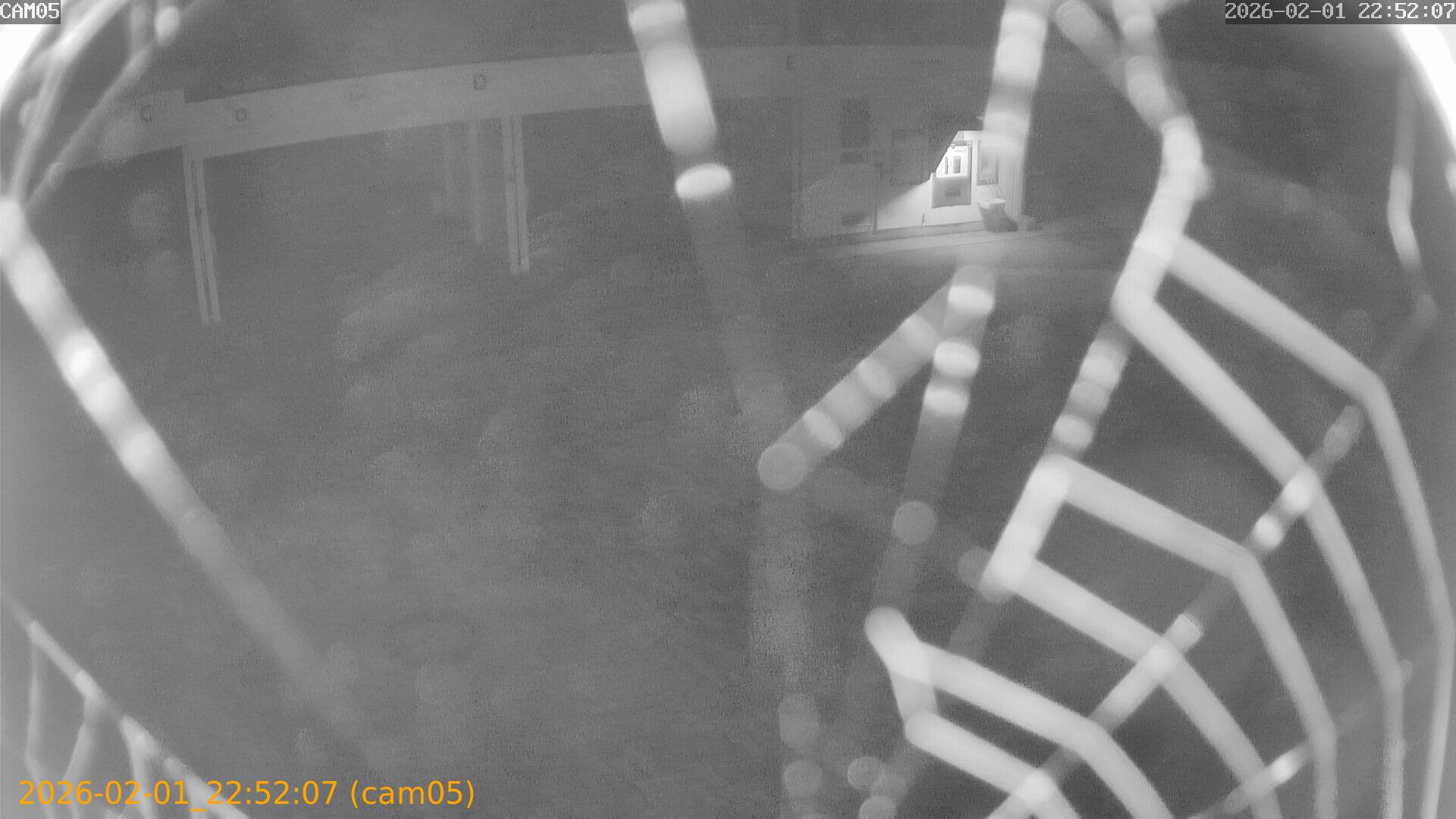 thumbnail_20260201225207