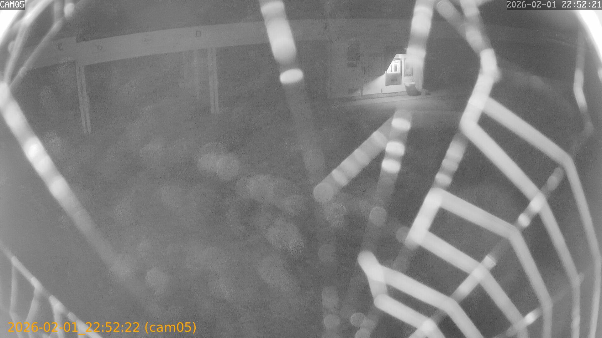 thumbnail_20260201225222