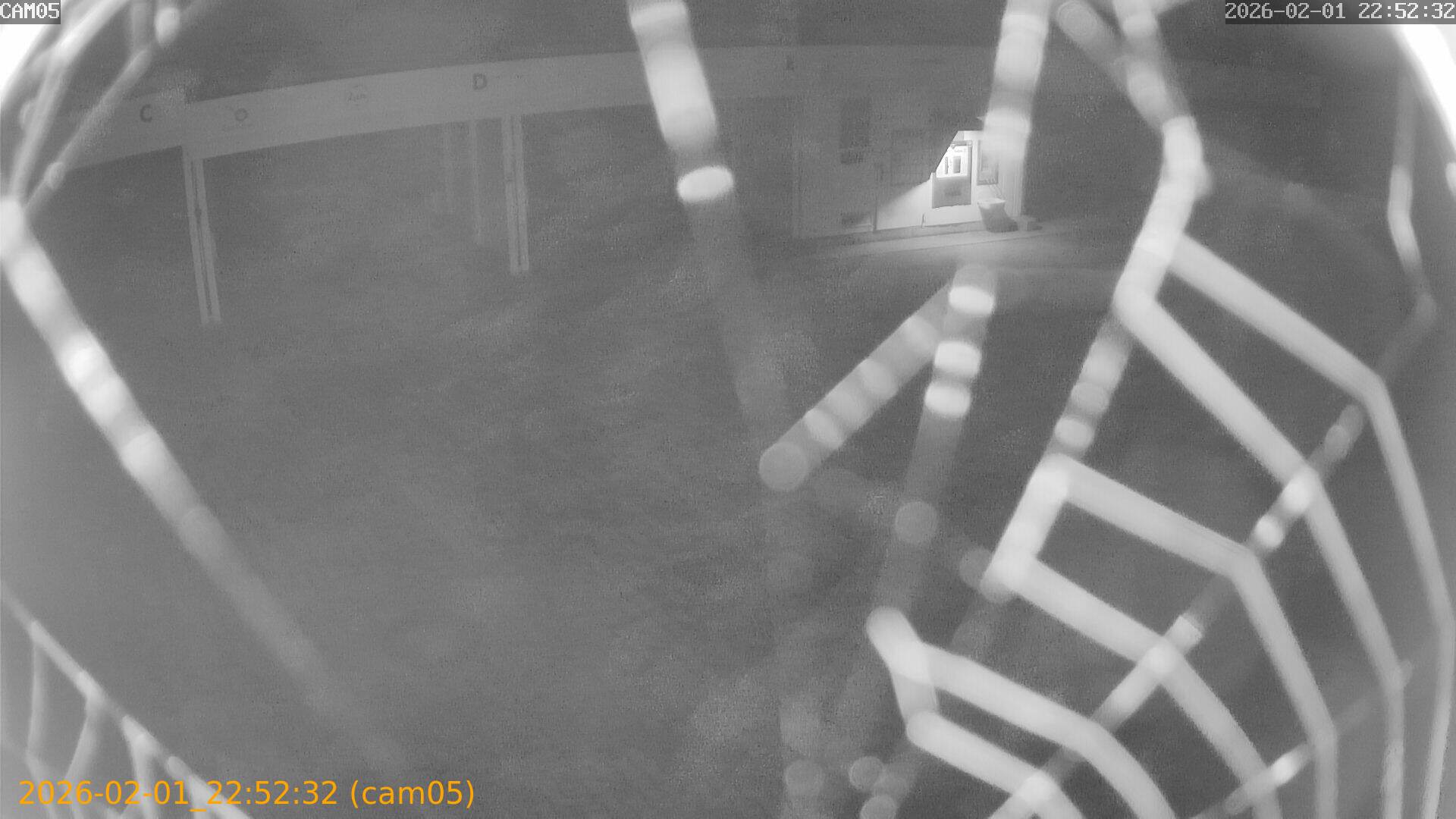 thumbnail_20260201225232