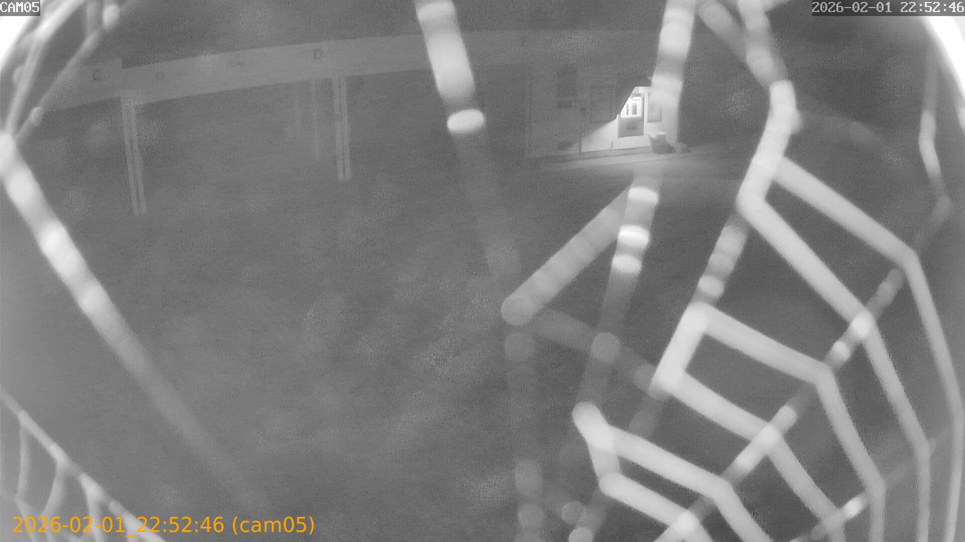 thumbnail_20260201225246