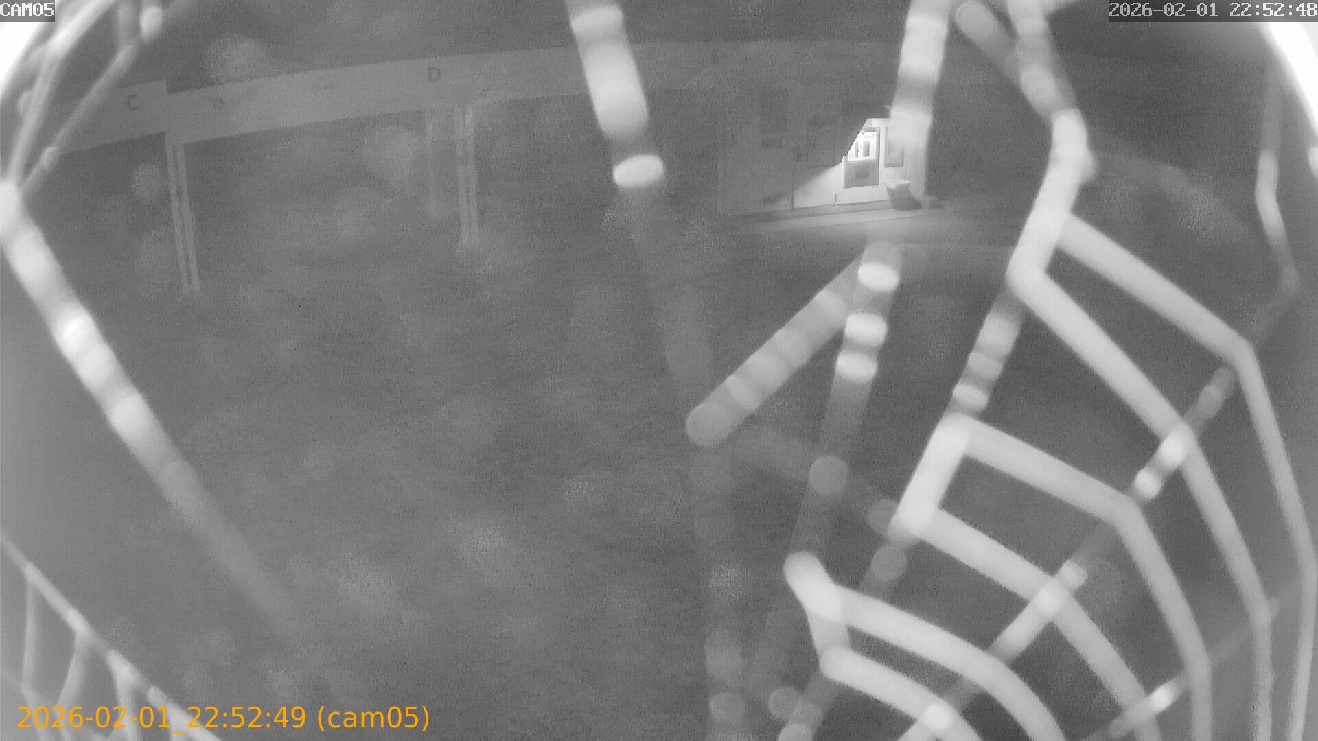 thumbnail_20260201225249