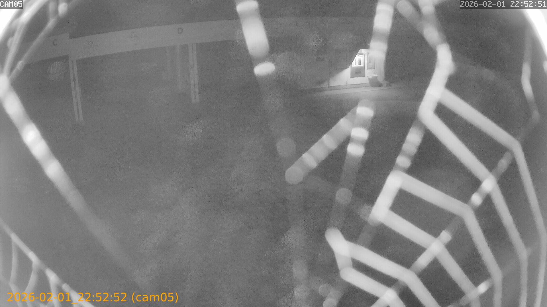 thumbnail_20260201225252