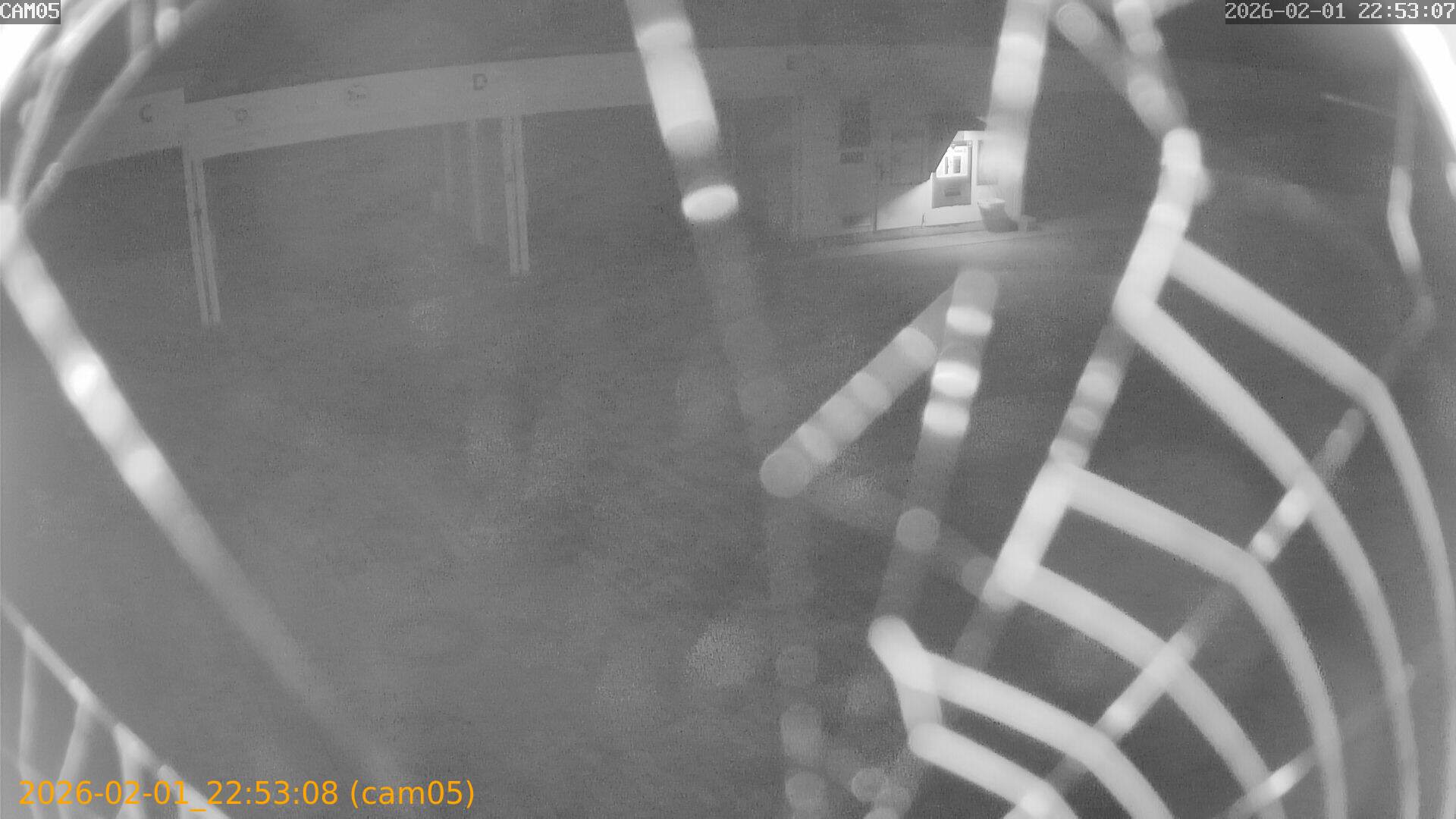 thumbnail_20260201225308