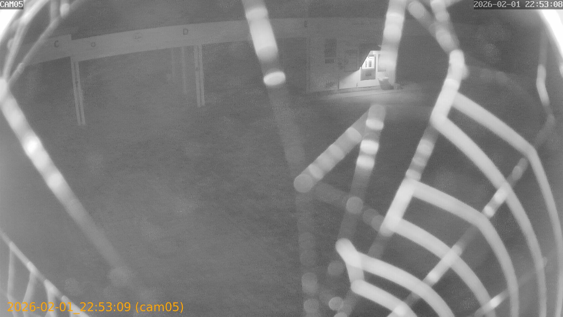 thumbnail_20260201225309