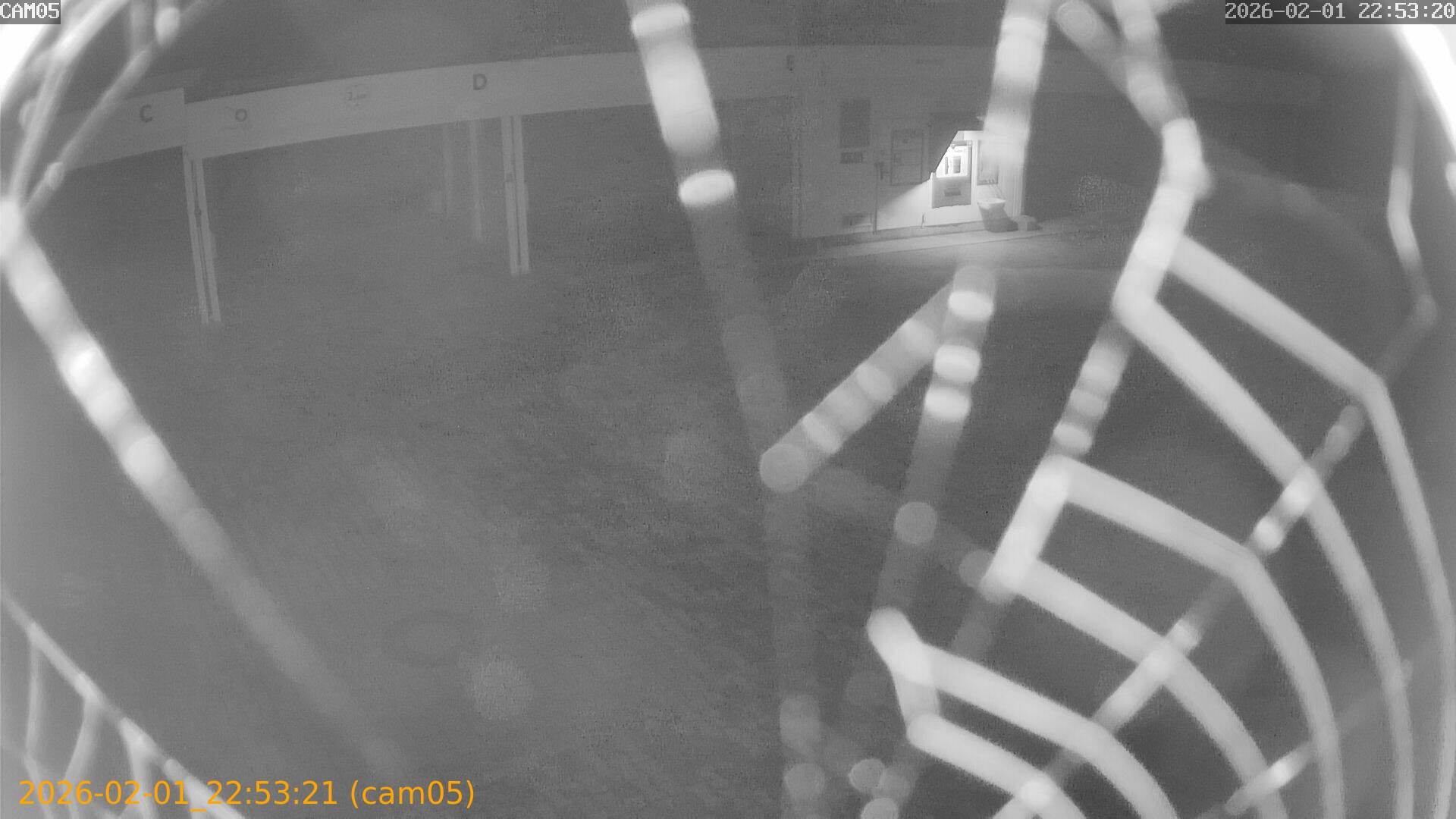 thumbnail_20260201225321