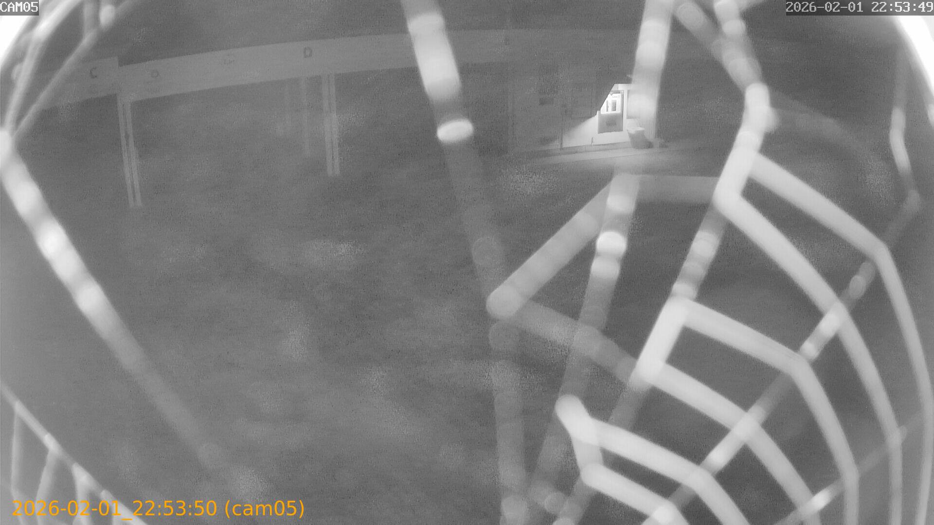 thumbnail_20260201225350