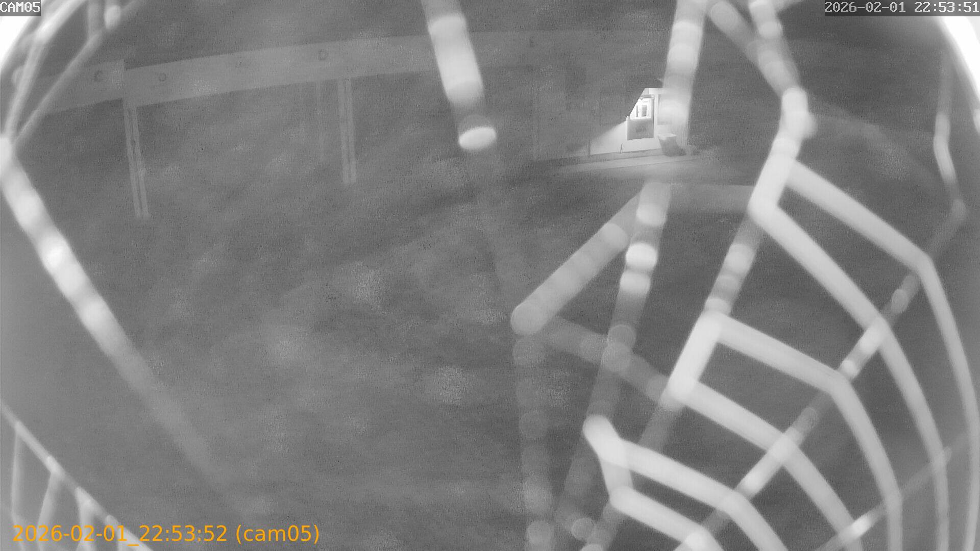 thumbnail_20260201225352