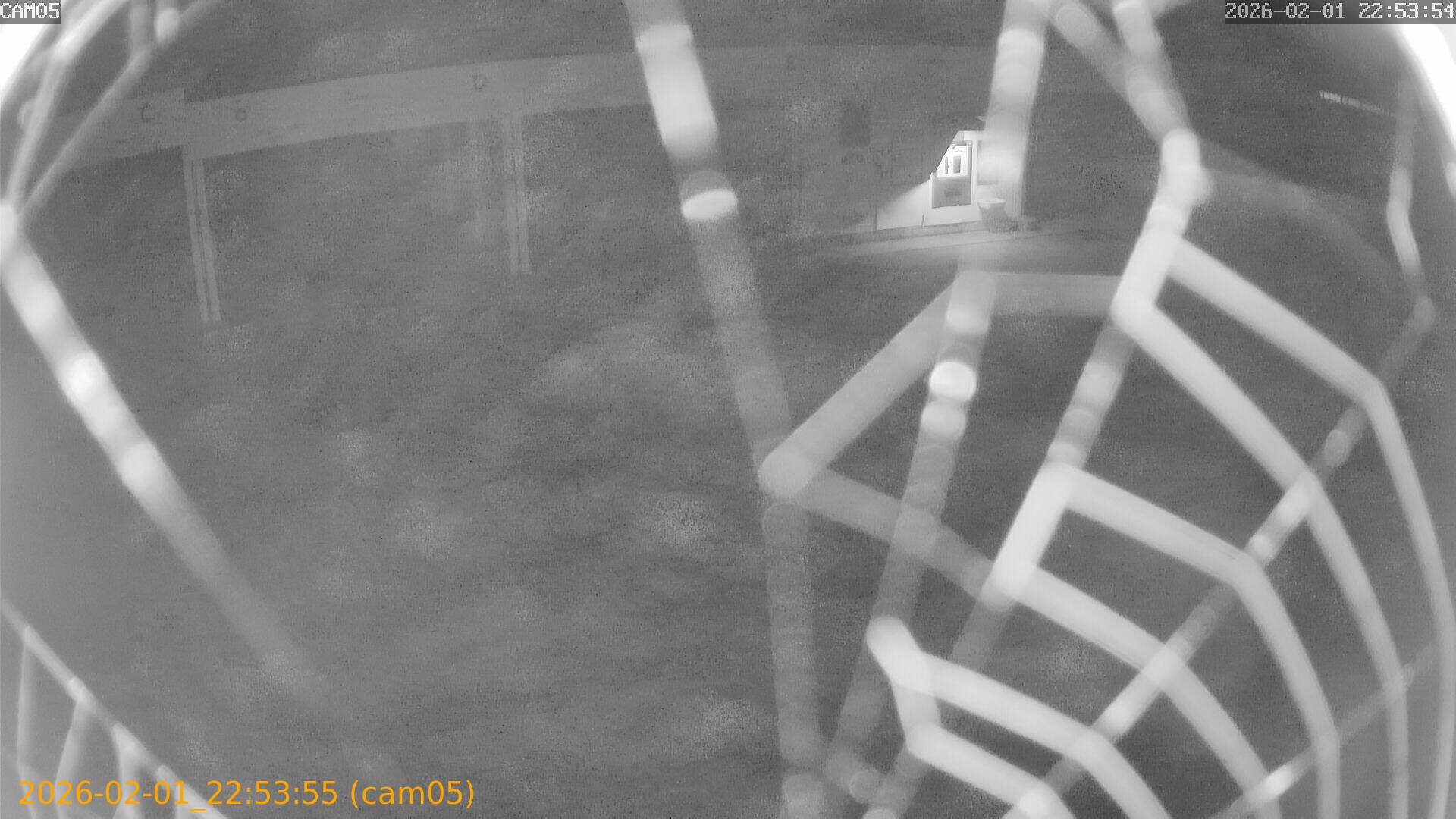 thumbnail_20260201225355