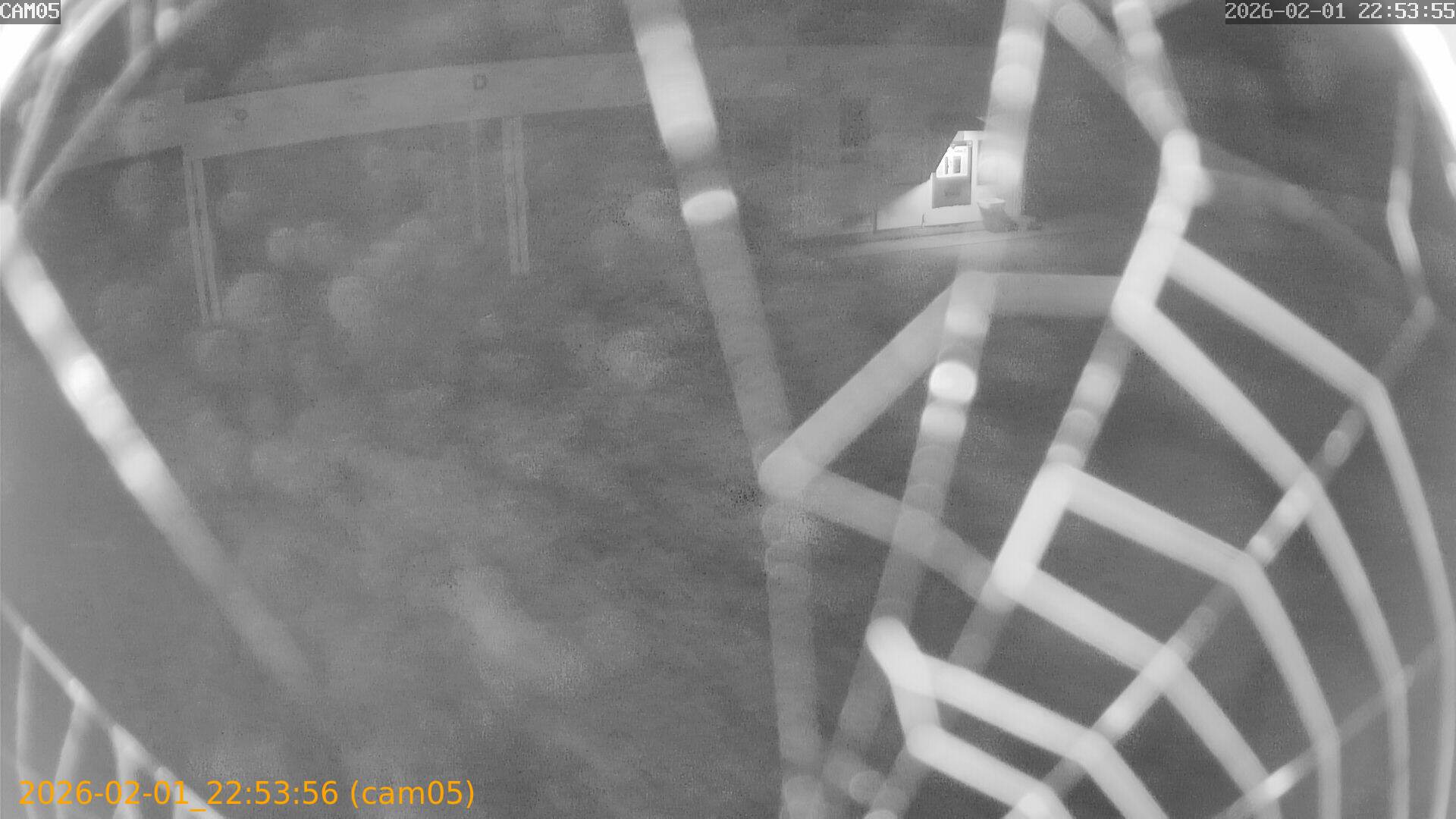 thumbnail_20260201225356