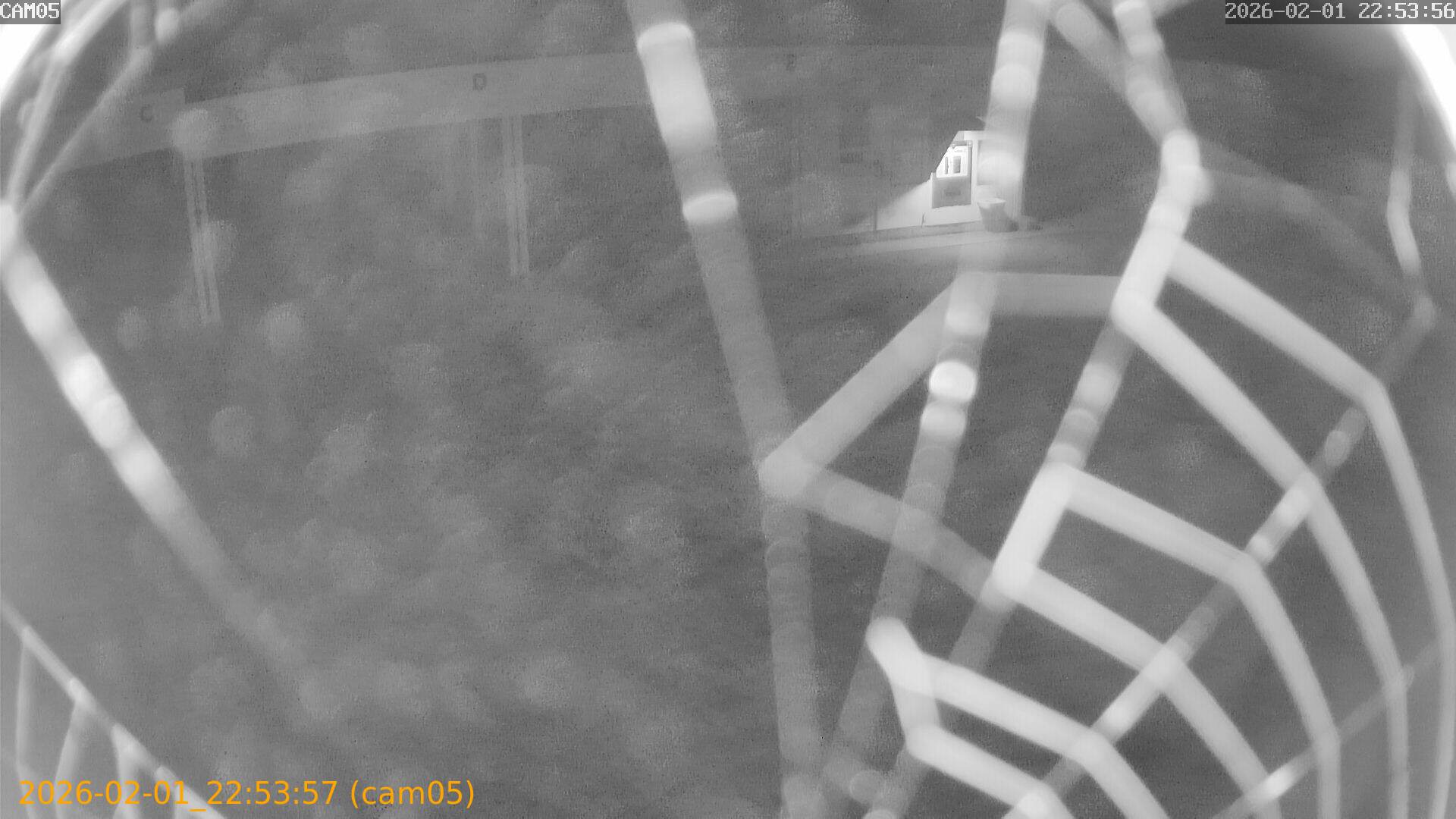 thumbnail_20260201225357