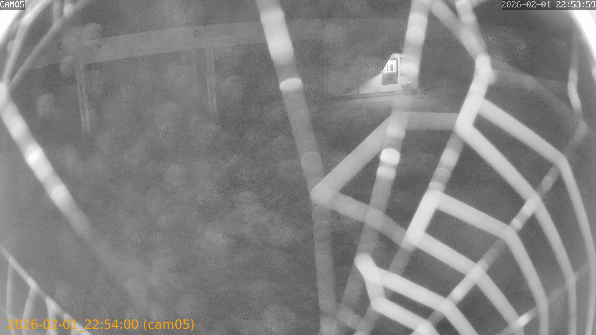 thumbnail_20260201225400