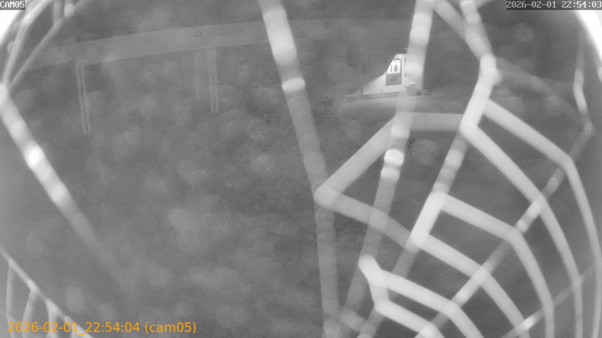 thumbnail_20260201225404