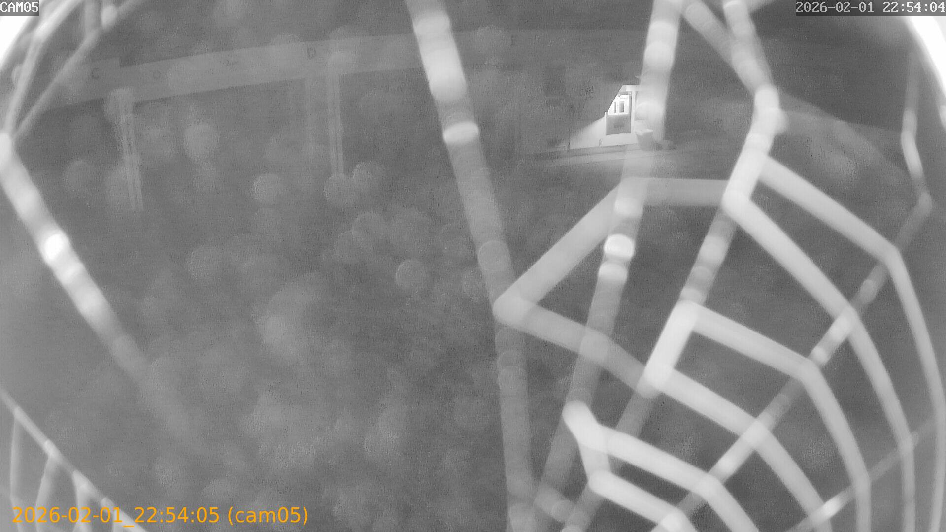 thumbnail_20260201225405