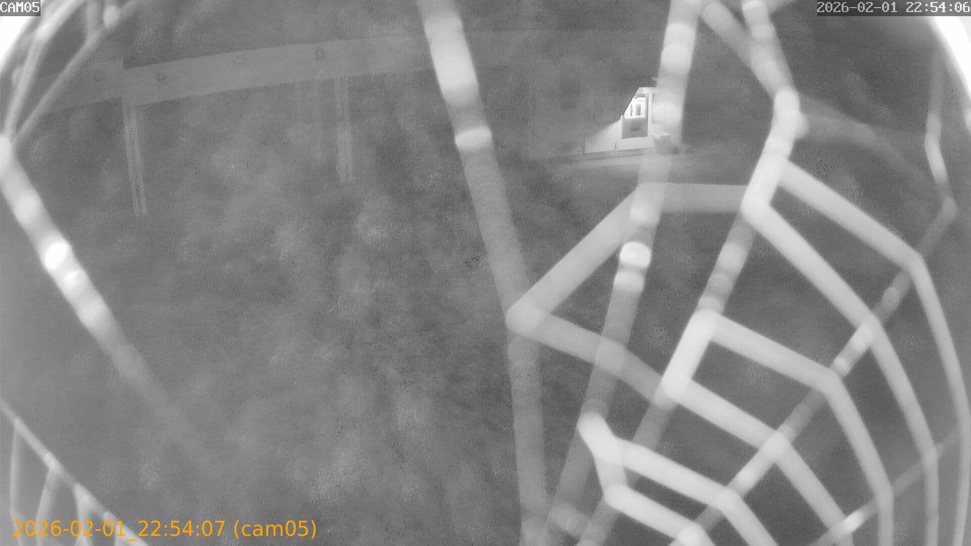 thumbnail_20260201225407