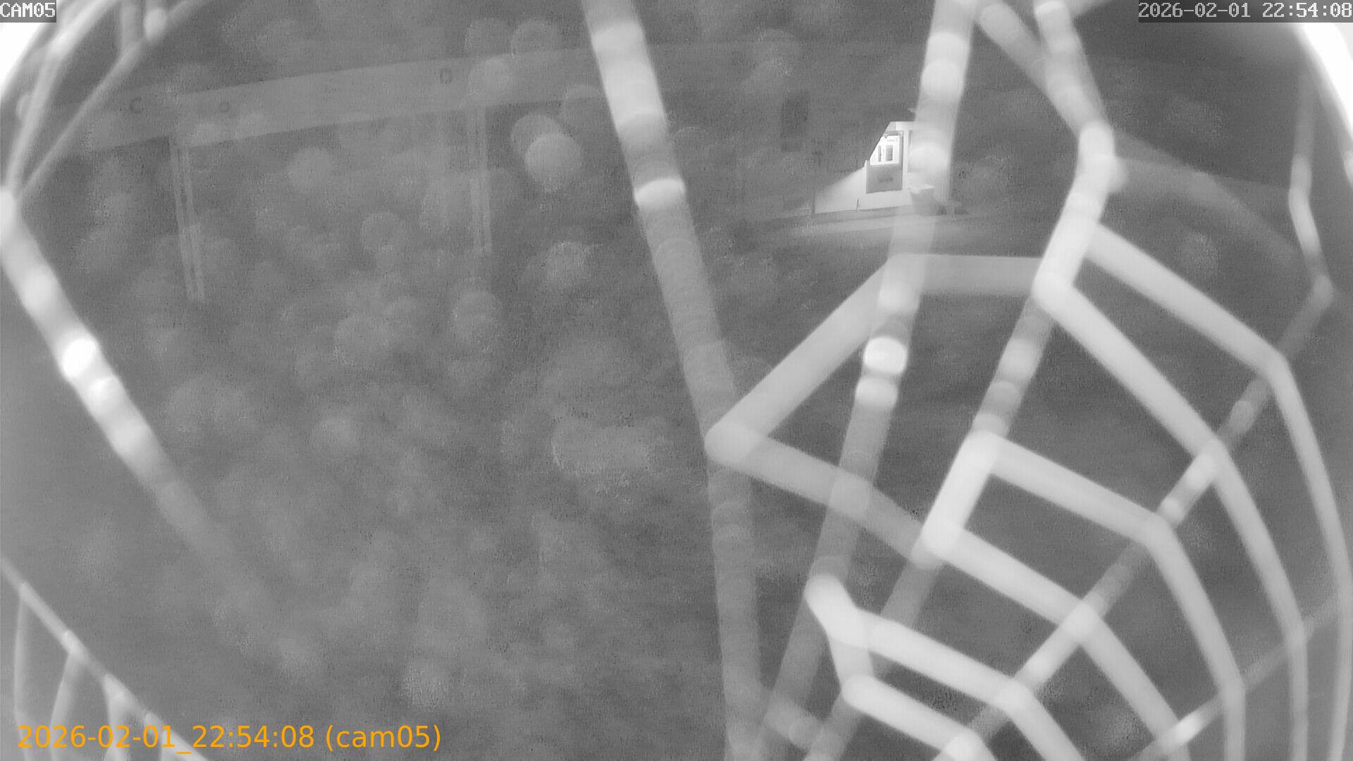 thumbnail_20260201225408