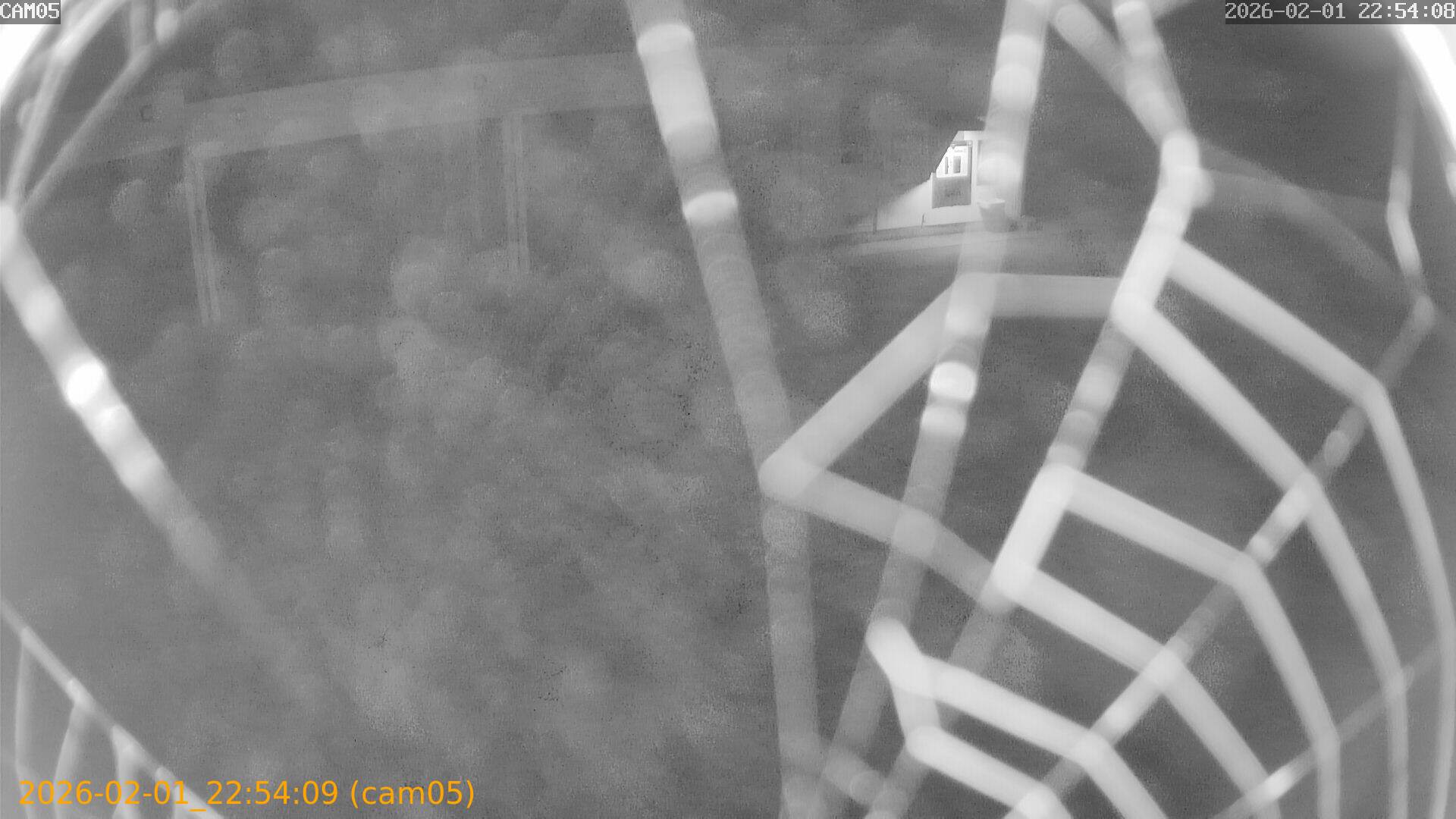 thumbnail_20260201225409