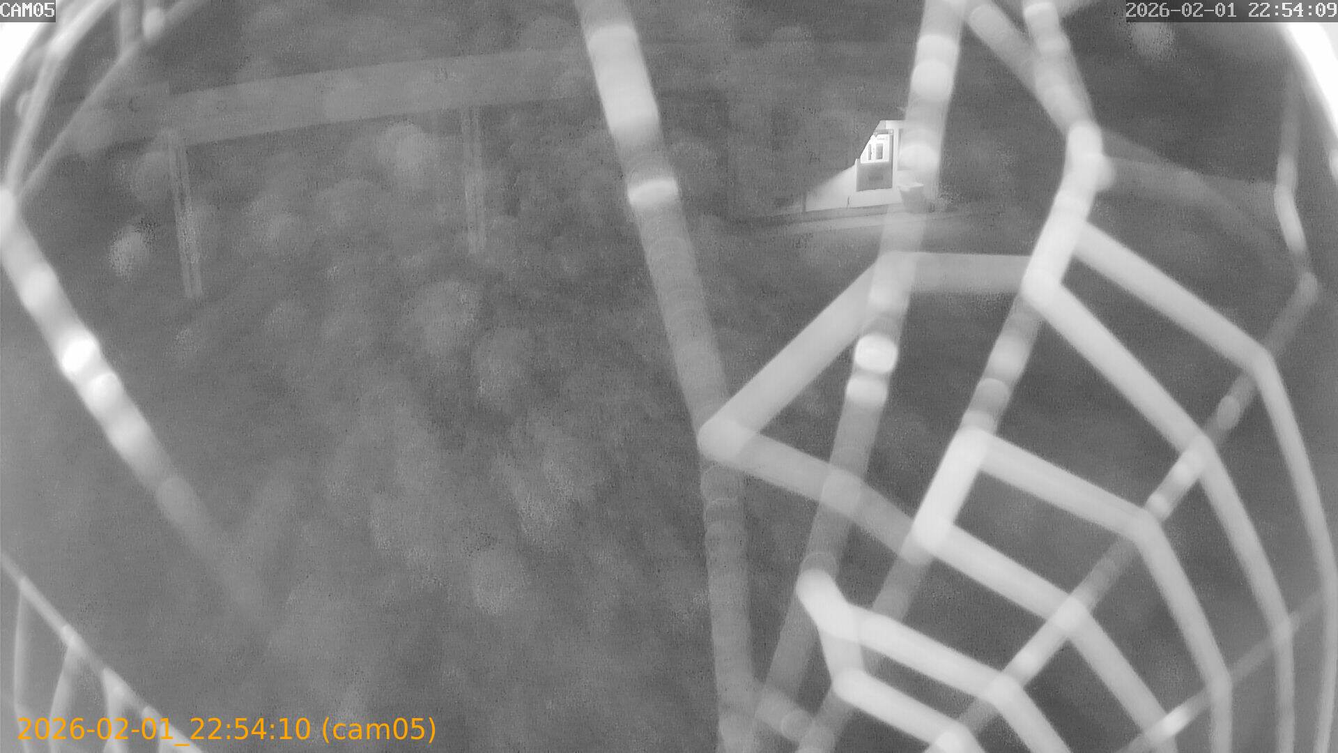 thumbnail_20260201225410