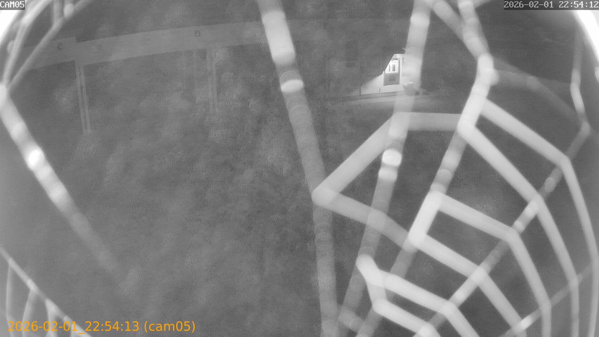 thumbnail_20260201225413