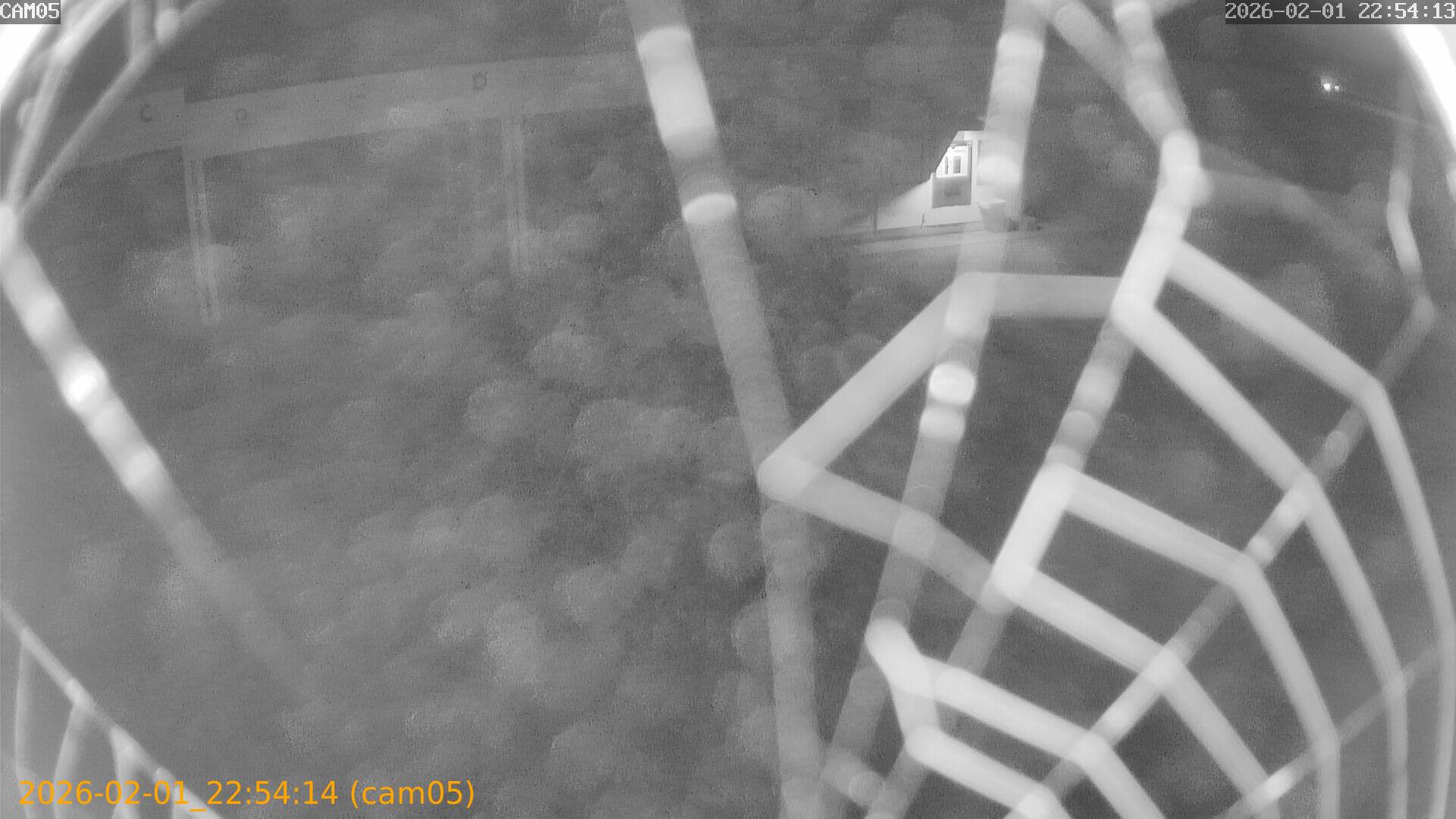 thumbnail_20260201225414