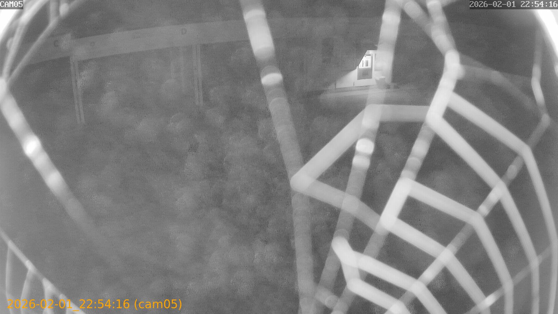 thumbnail_20260201225416