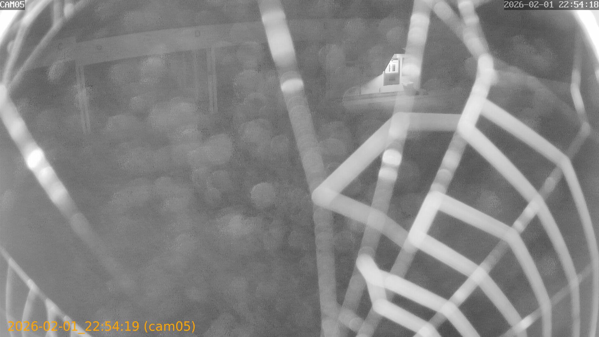 thumbnail_20260201225419