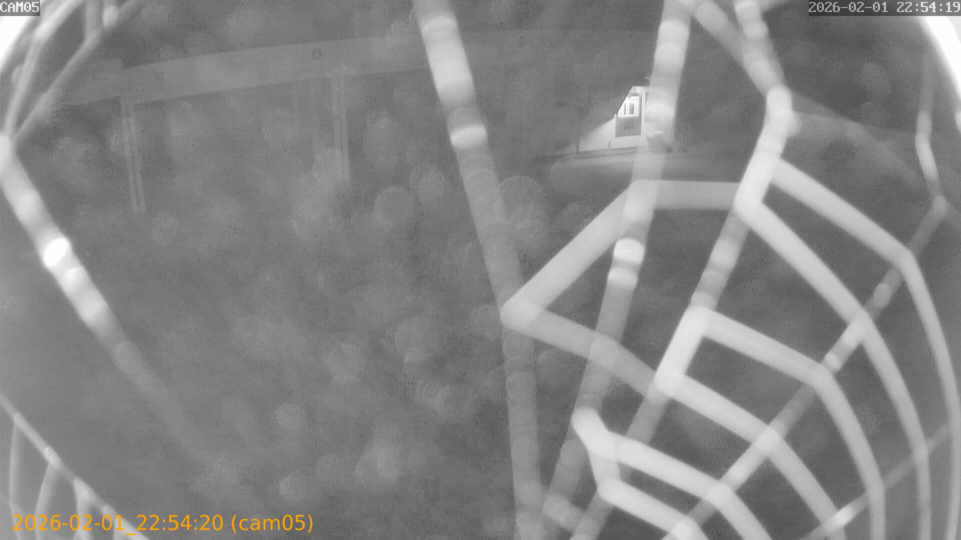 thumbnail_20260201225420