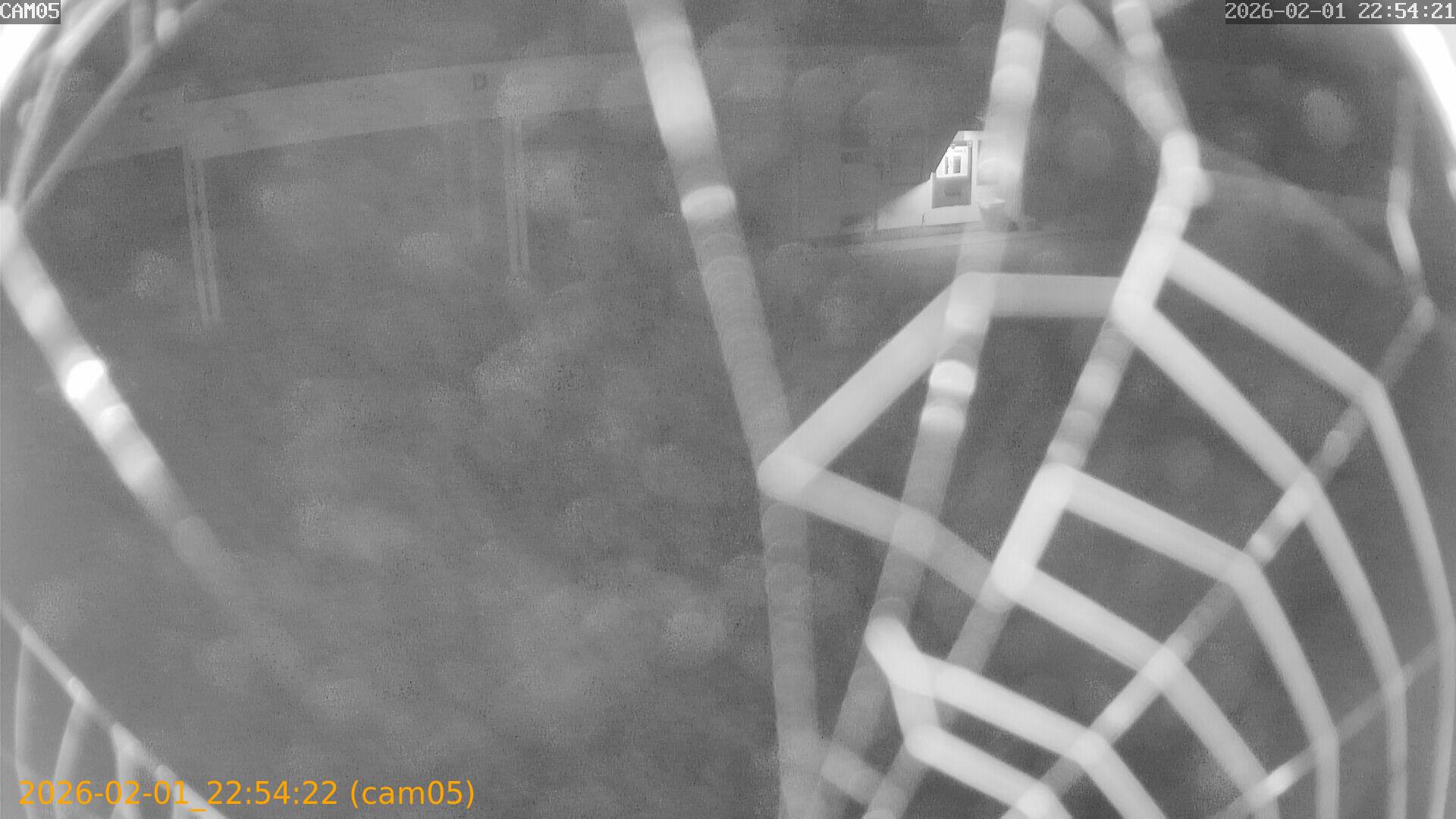 thumbnail_20260201225422