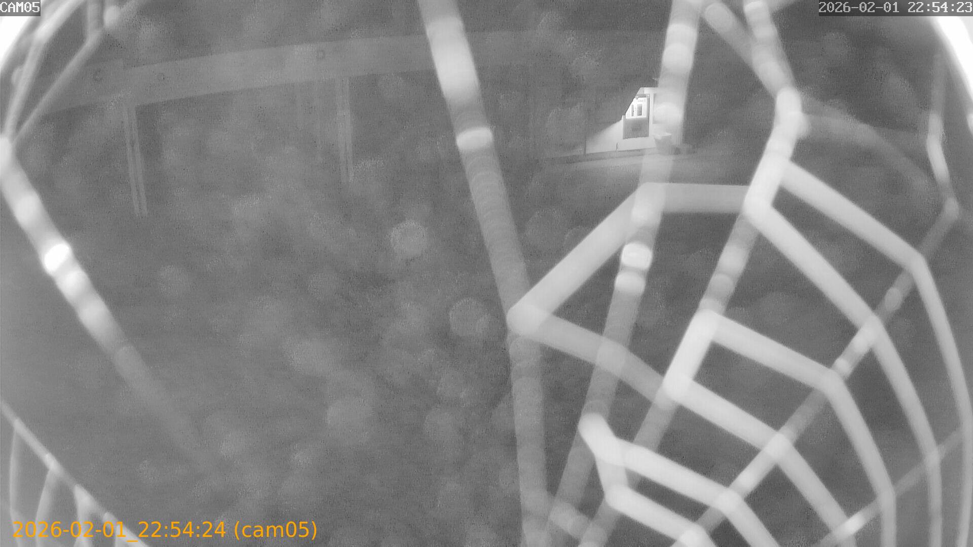 thumbnail_20260201225424