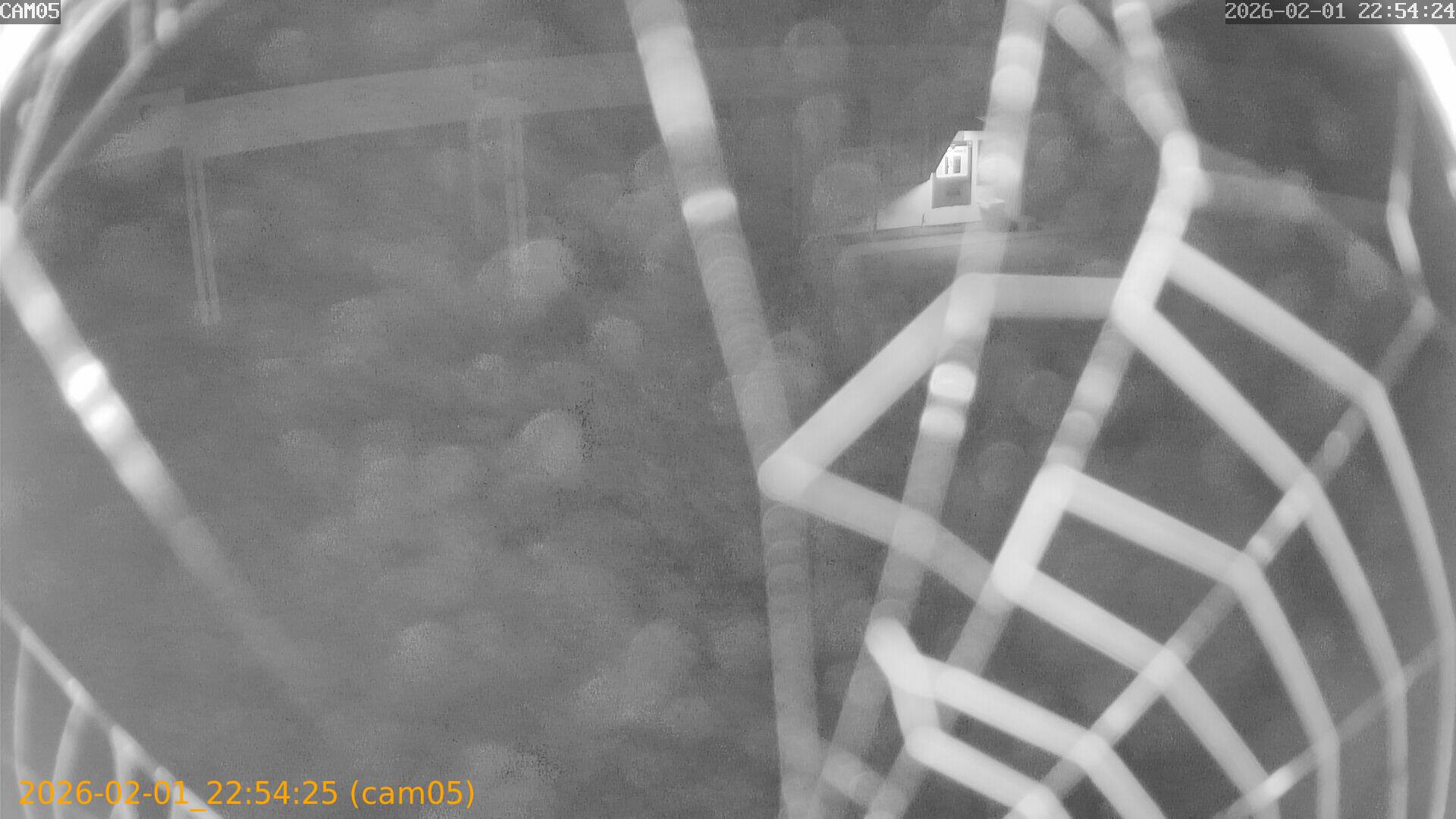 thumbnail_20260201225425