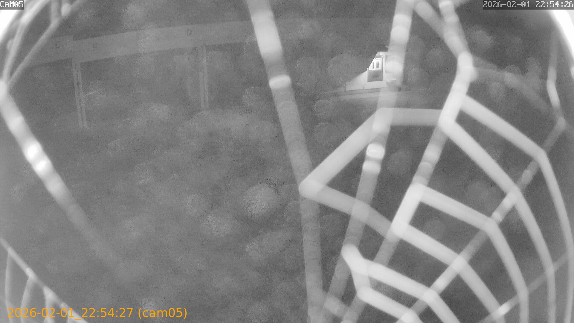 thumbnail_20260201225427