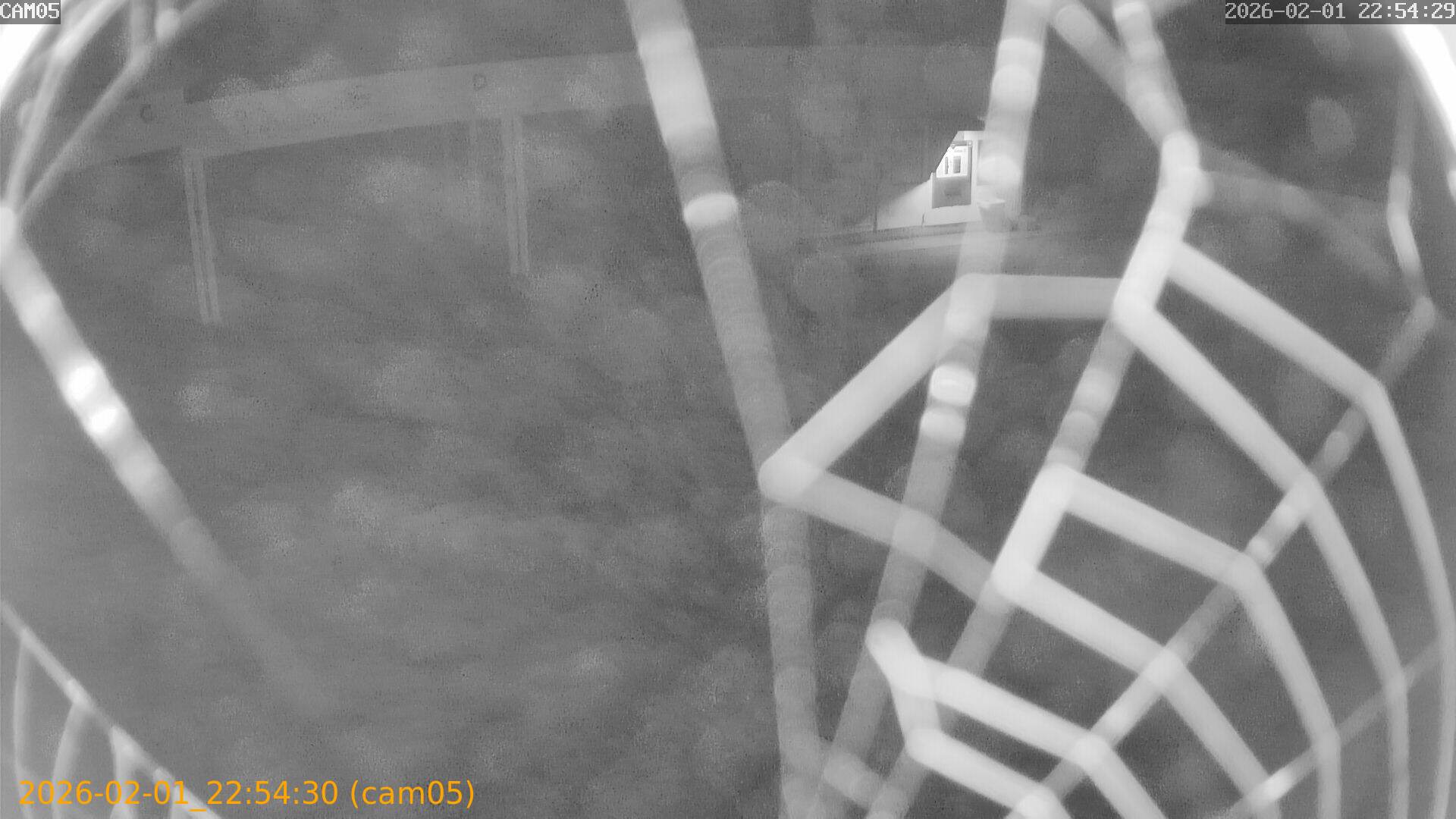 thumbnail_20260201225430