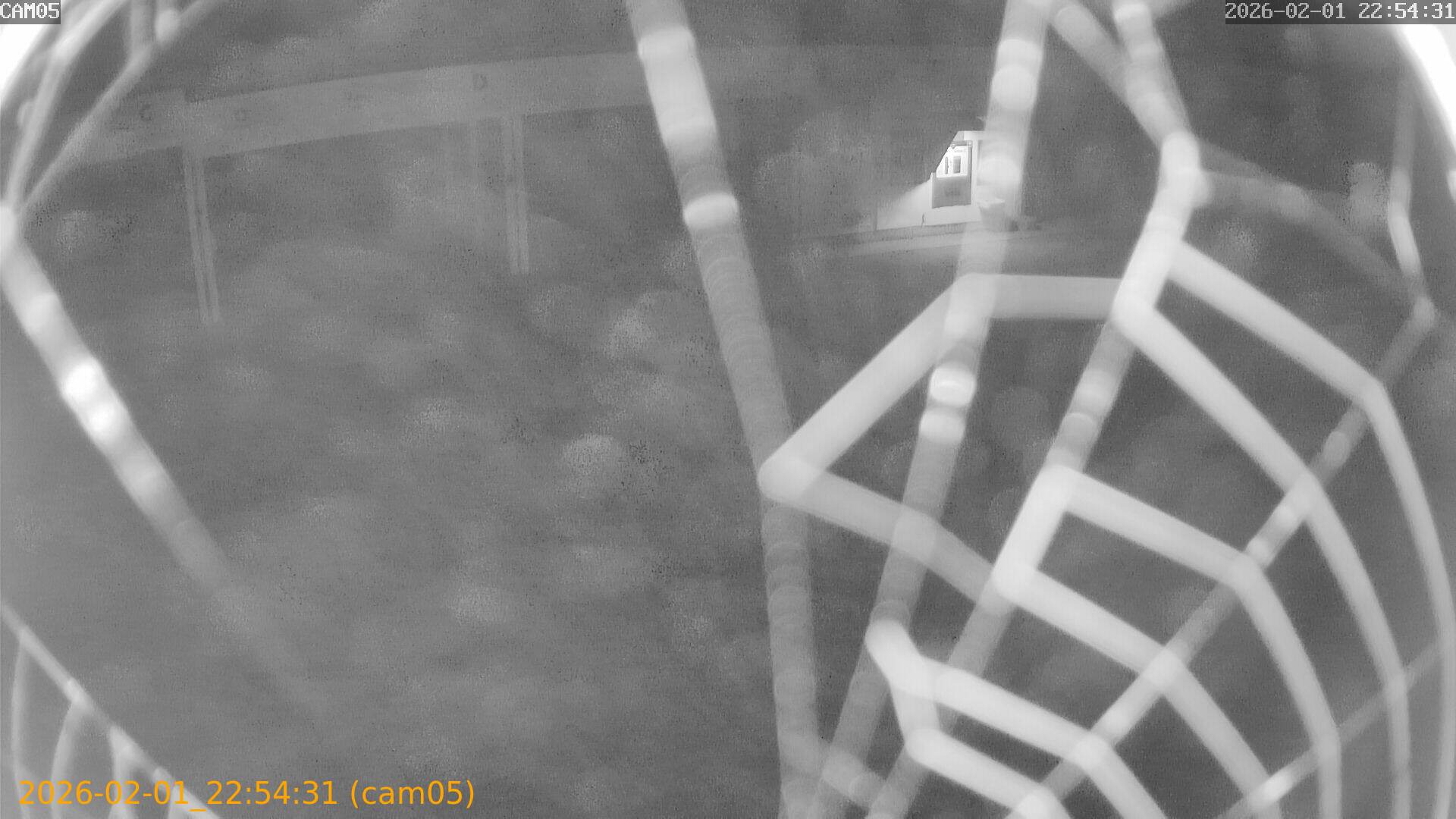 thumbnail_20260201225431